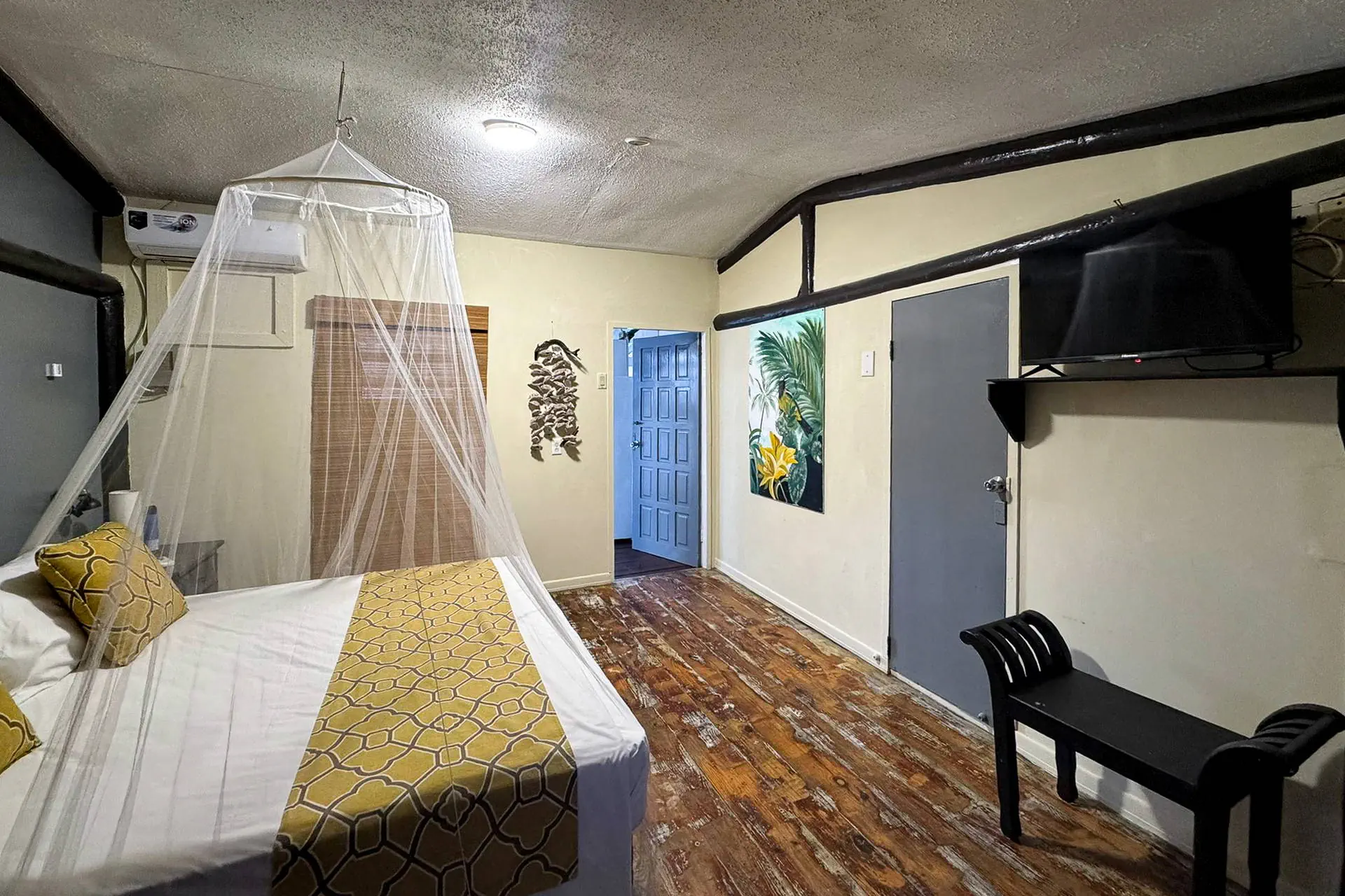 Egzotyka Light - Curacao - zdjęcie 13
