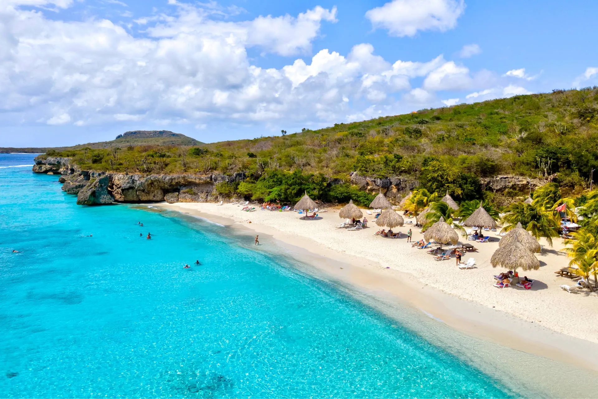 Egzotyka Light - Curacao - zdjęcie 35