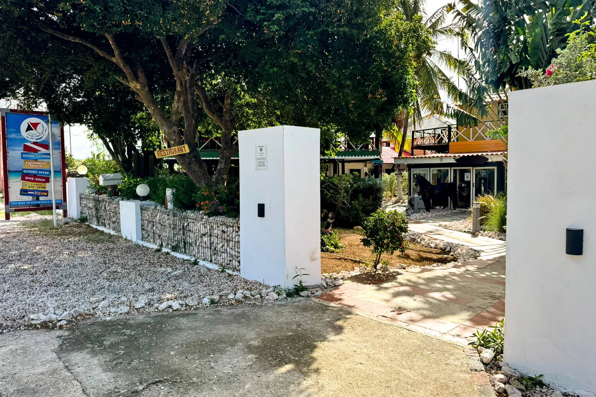 Egzotyka Light - Curacao - zdjęcie 23