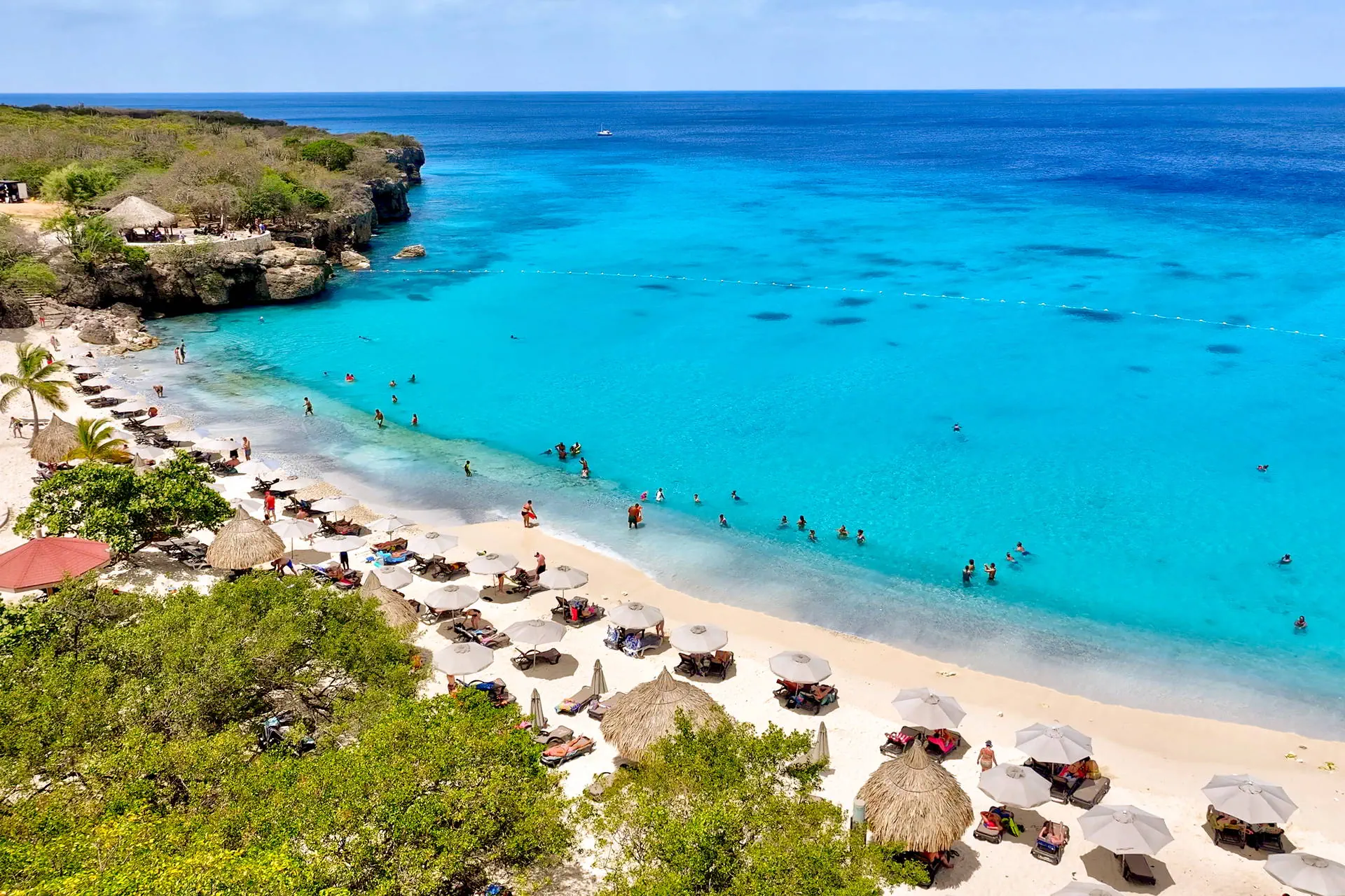 Egzotyka Light - Curacao - zdjęcie 32
