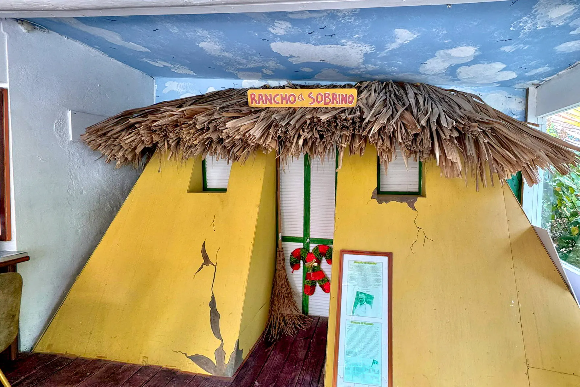 Egzotyka Light - Curacao - zdjęcie 18