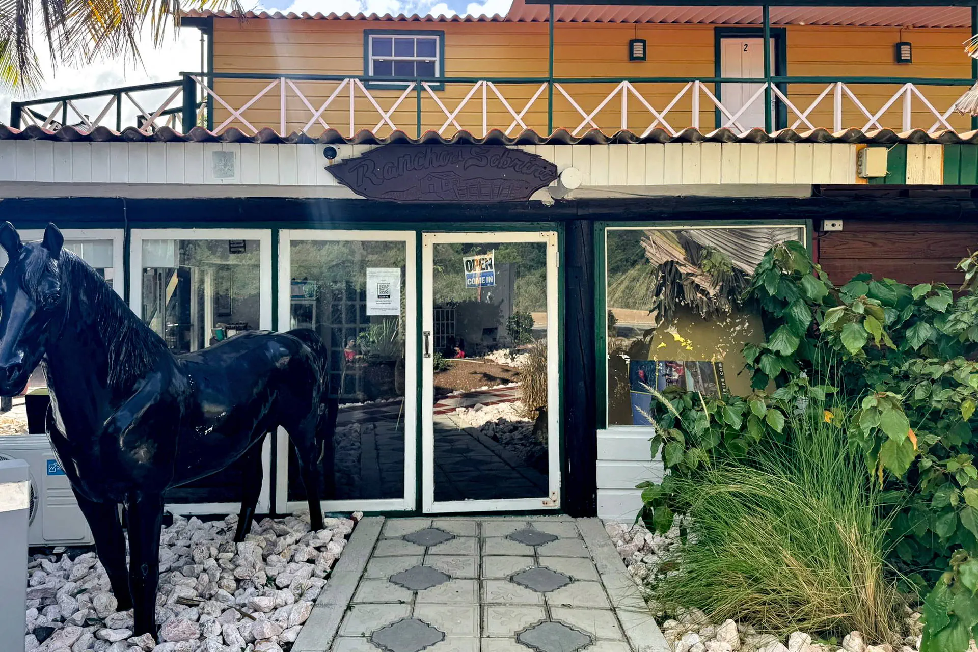 Egzotyka Light - Curacao - zdjęcie 21