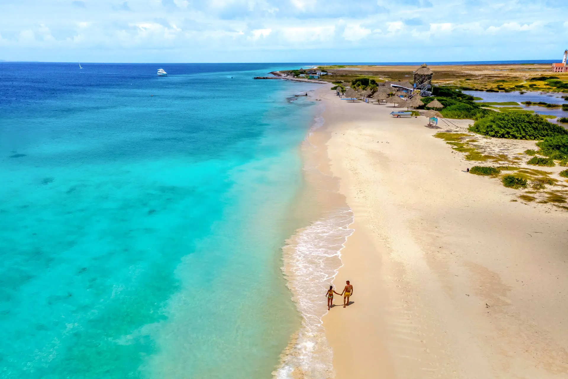 Egzotyka Light - Curacao - zdjęcie 31