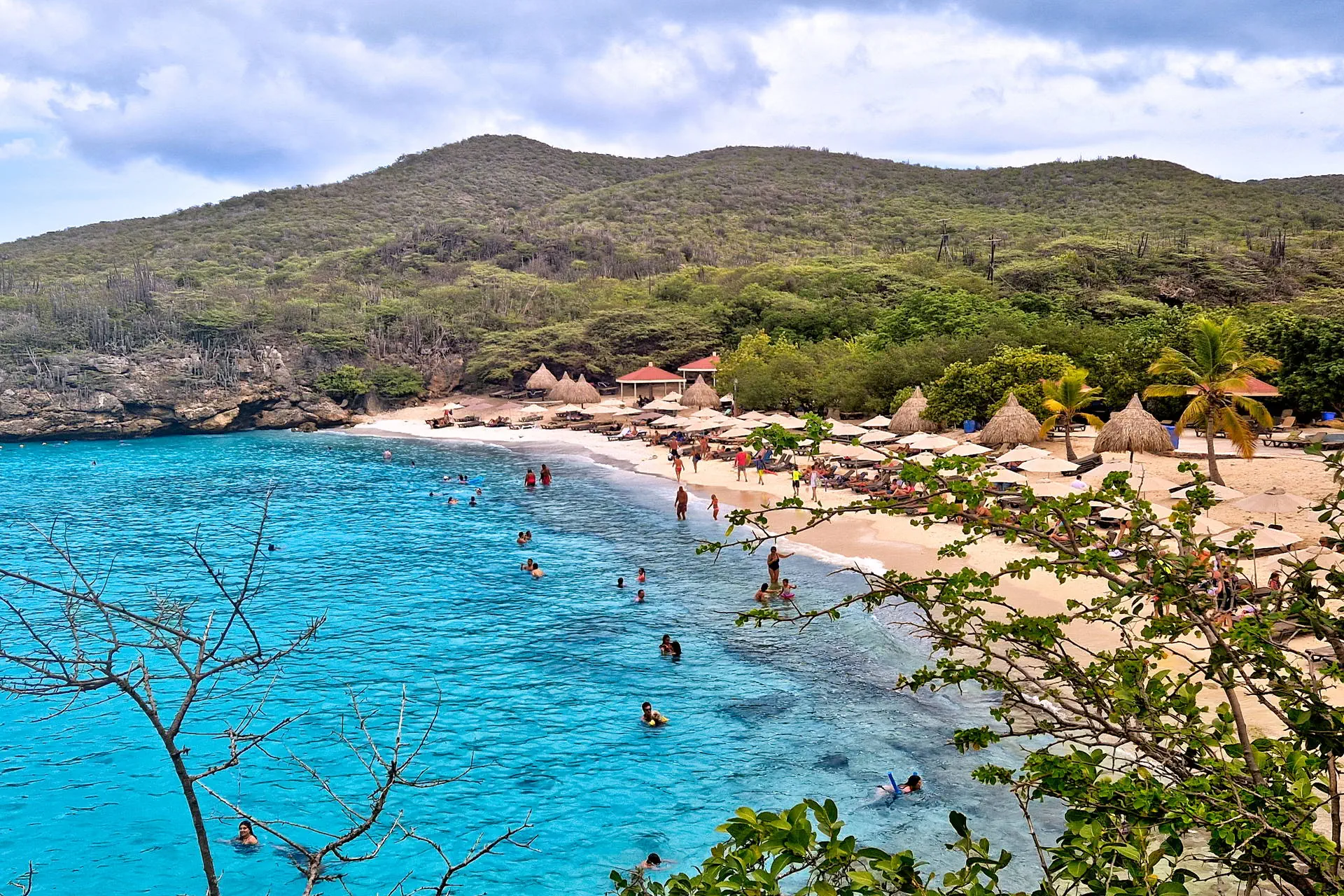 Egzotyka Light - Curacao - zdjęcie 12