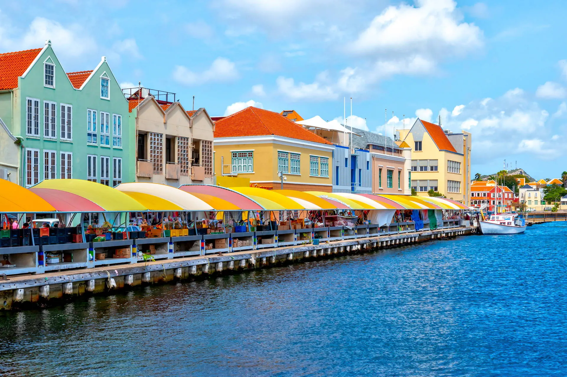 Egzotyka Light - Curacao - zdjęcie 39