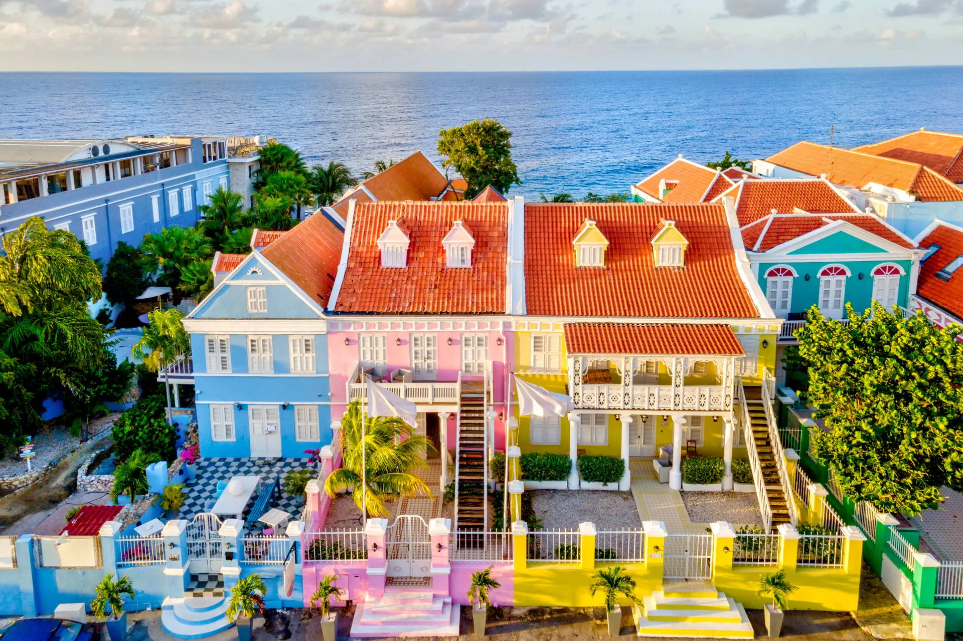 Egzotyka Light - Curacao - zdjęcie 38