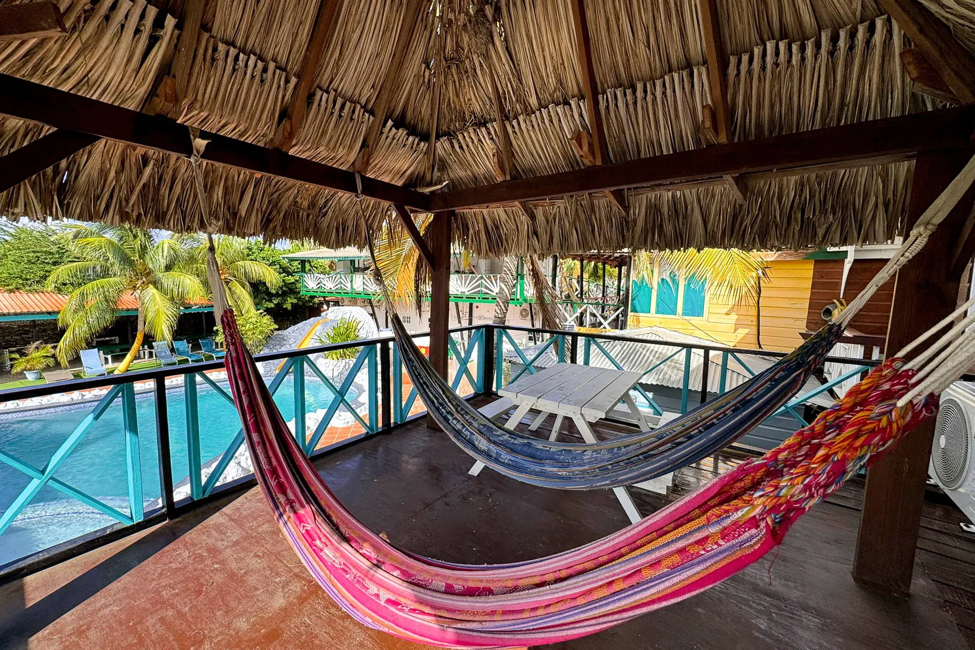 Egzotyka Light - Curacao - zdjęcie 25