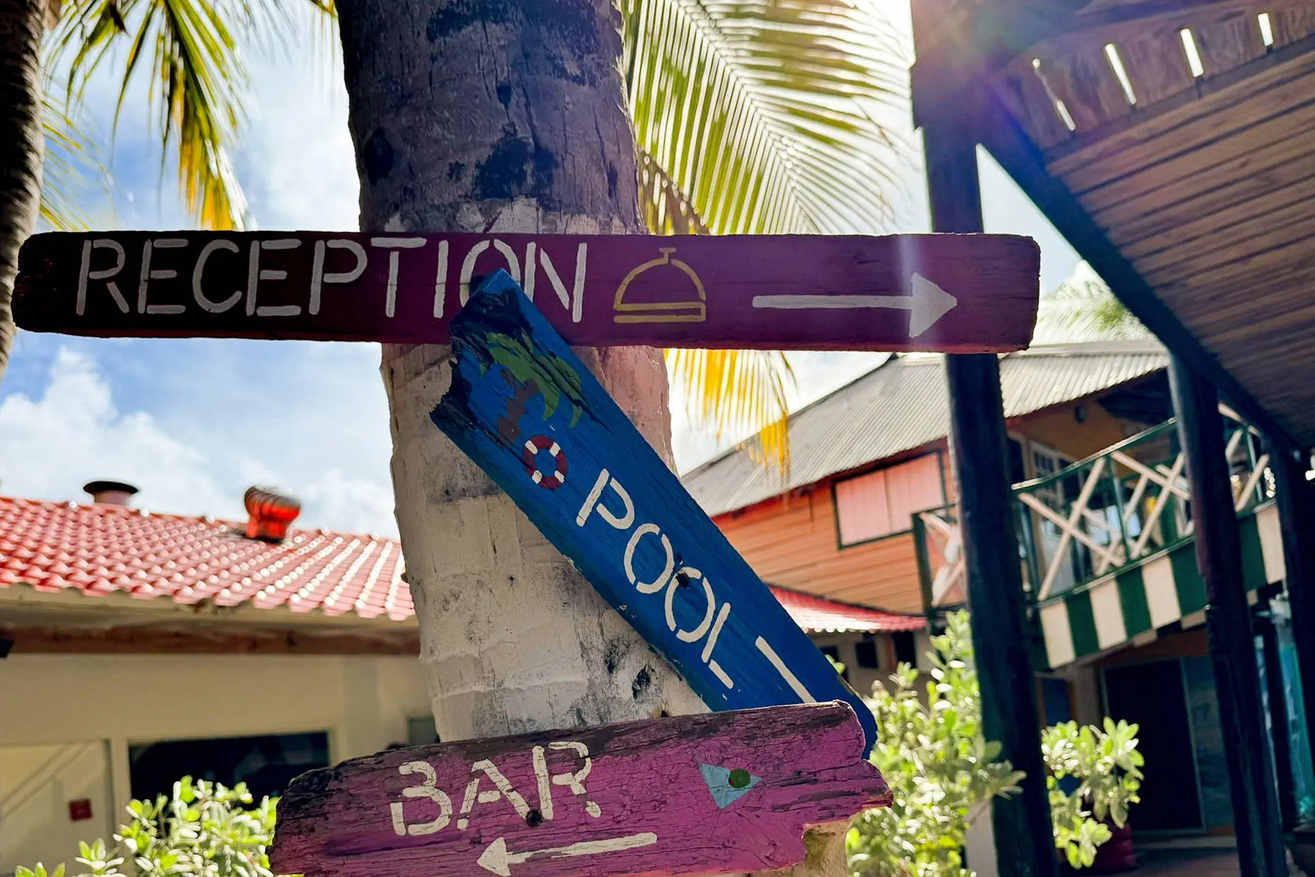 Egzotyka Light - Curacao - zdjęcie 24