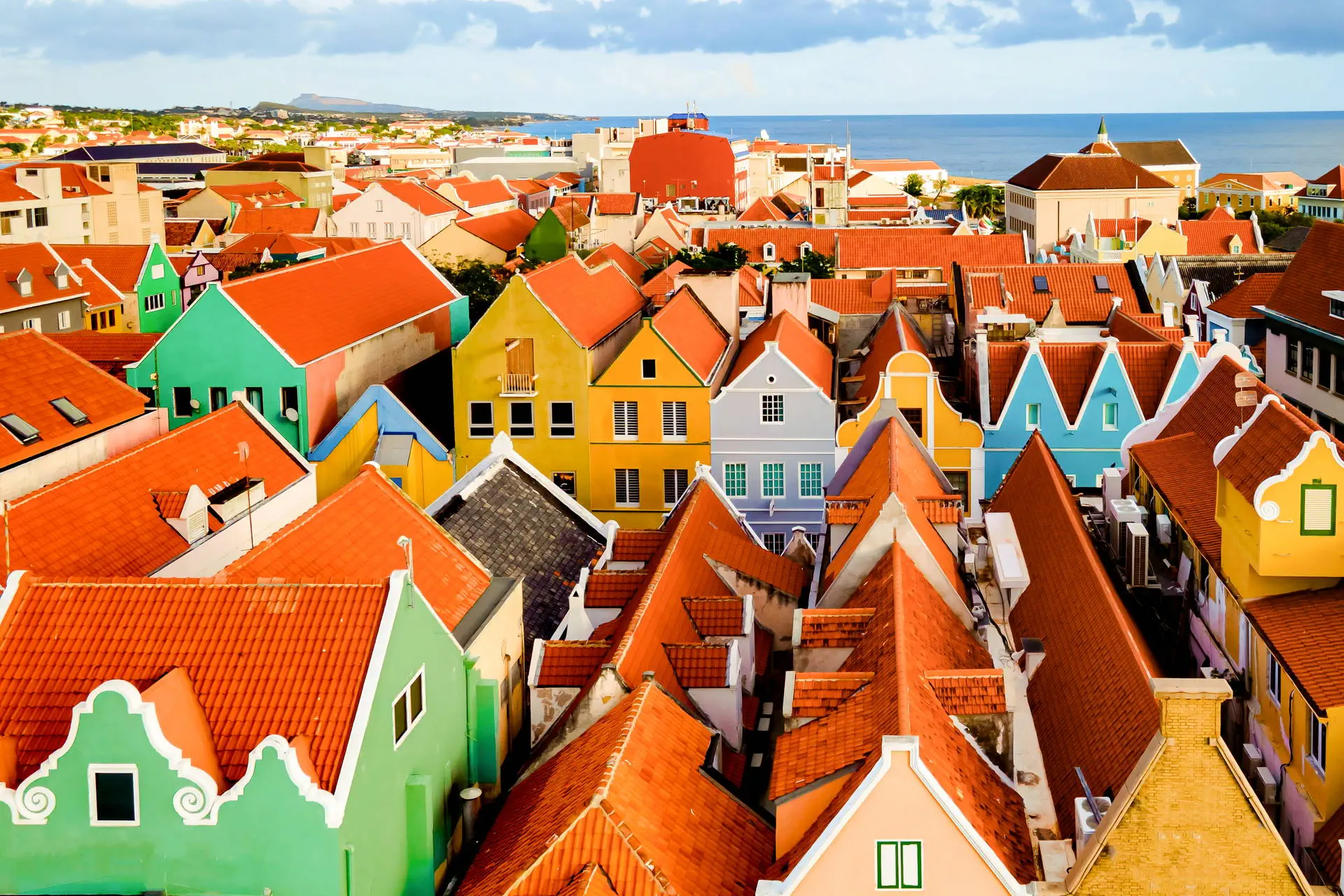 Egzotyka Light - Curacao - zdjęcie 34