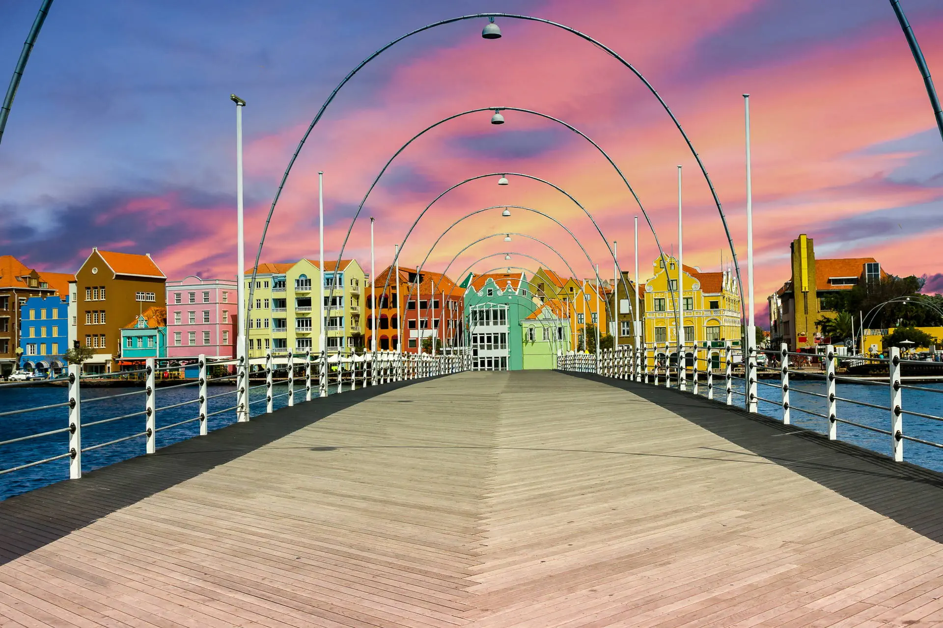 Egzotyka Light - Curacao - zdjęcie 33