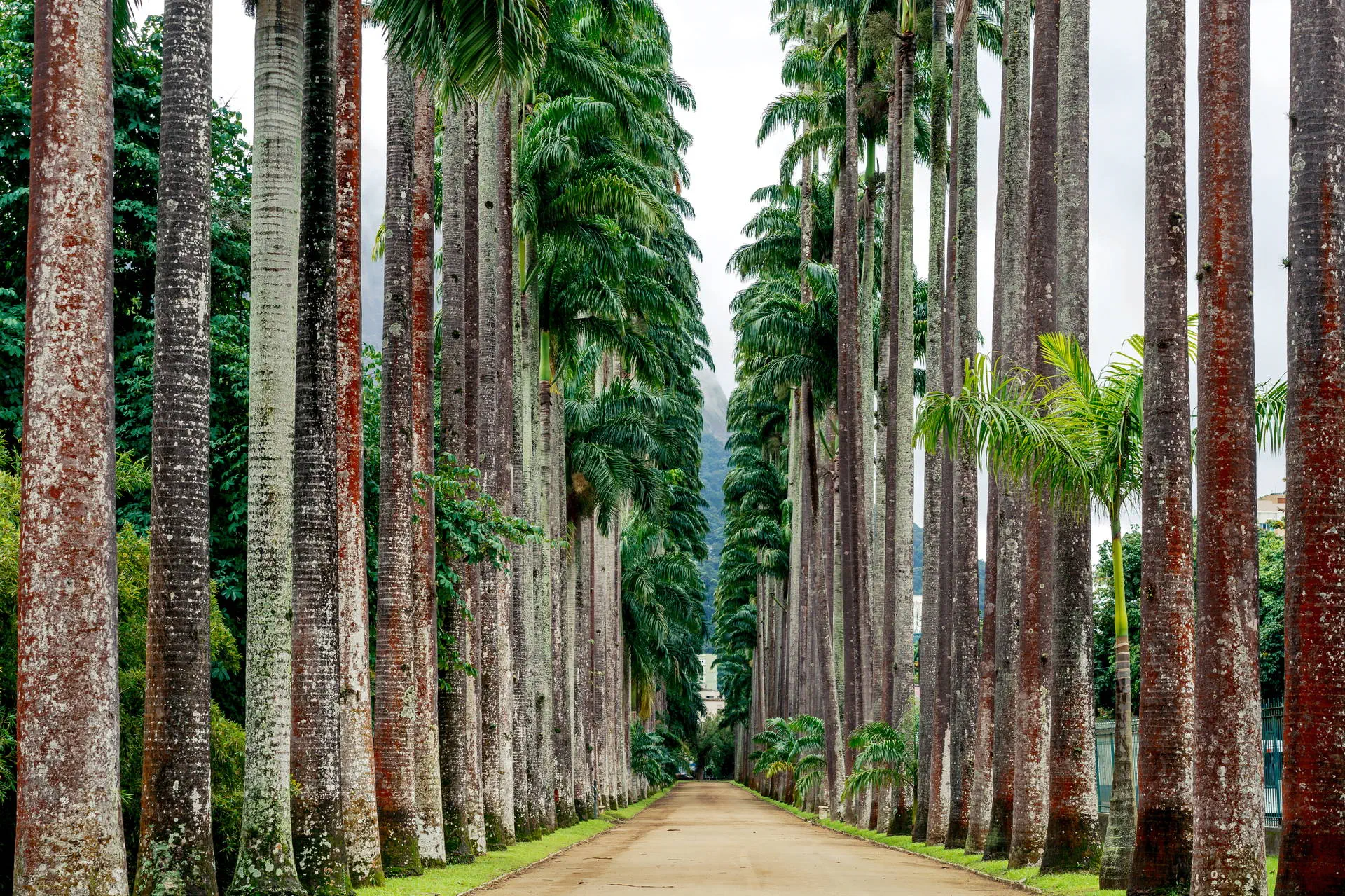 Sylwester - Rio de Janeiro - zdjęcie 26