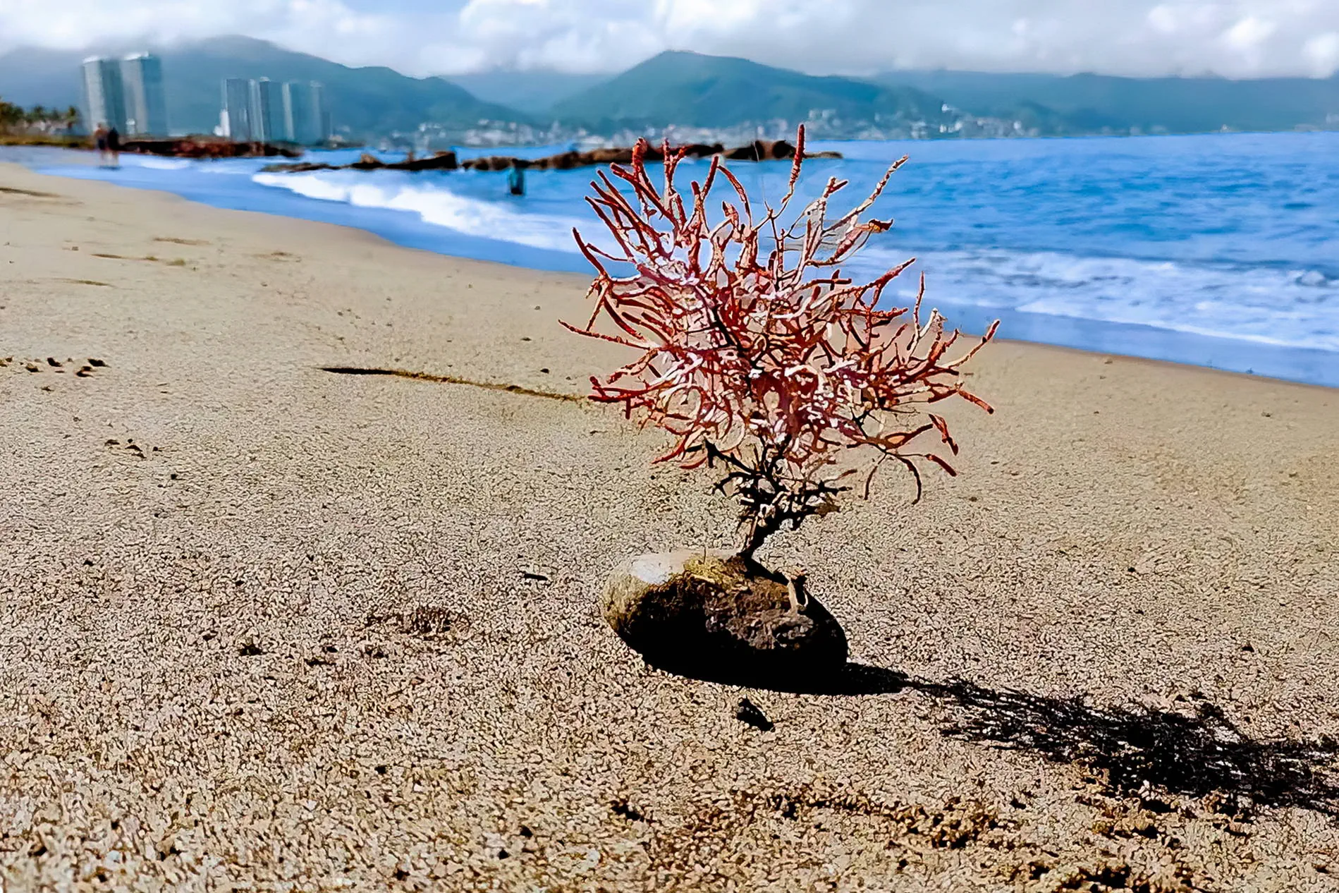 Vamar Marina & Beach Resort  (Vallarta) - zdjęcie 23
