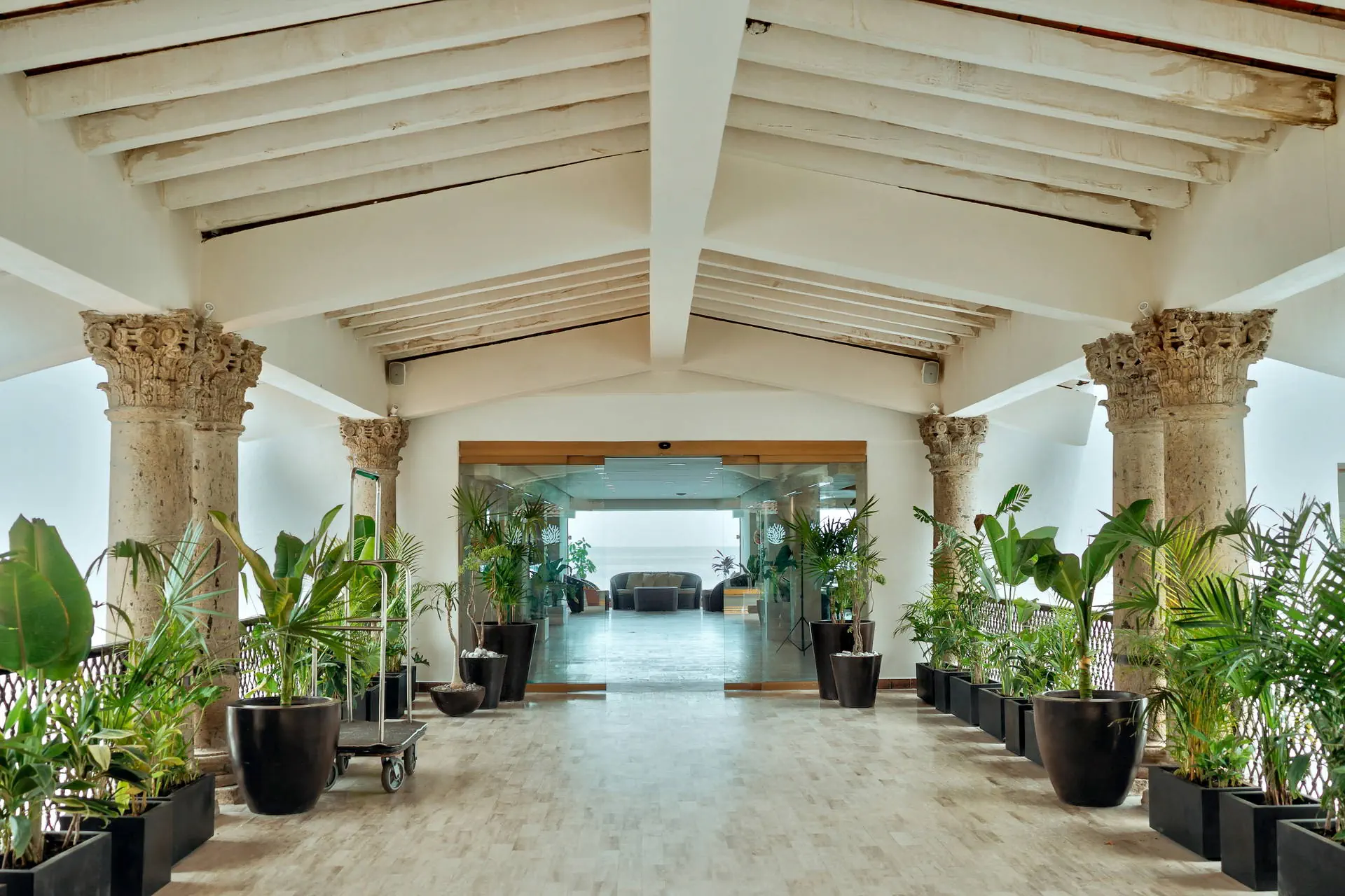 Costa Sur (Puerto Vallarta) - zdjęcie 34