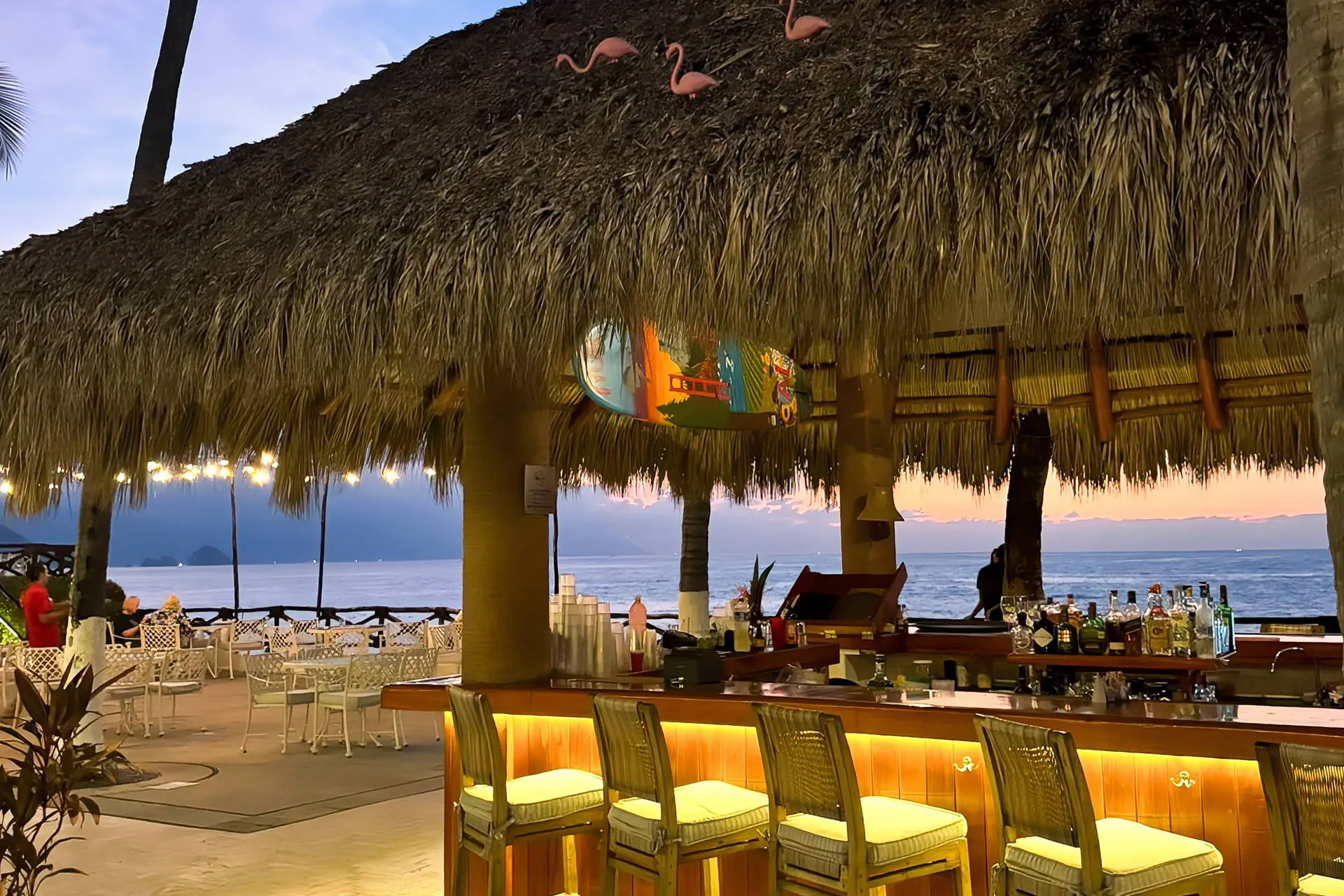 Costa Sur (Puerto Vallarta) - zdjęcie 27