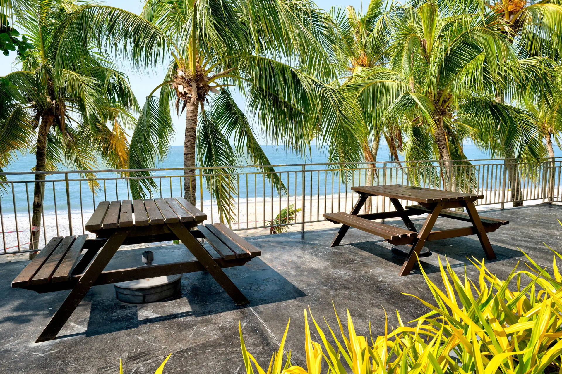 Flamingo by the Beach ( Tanjung Bungah ) - zdjęcie 30