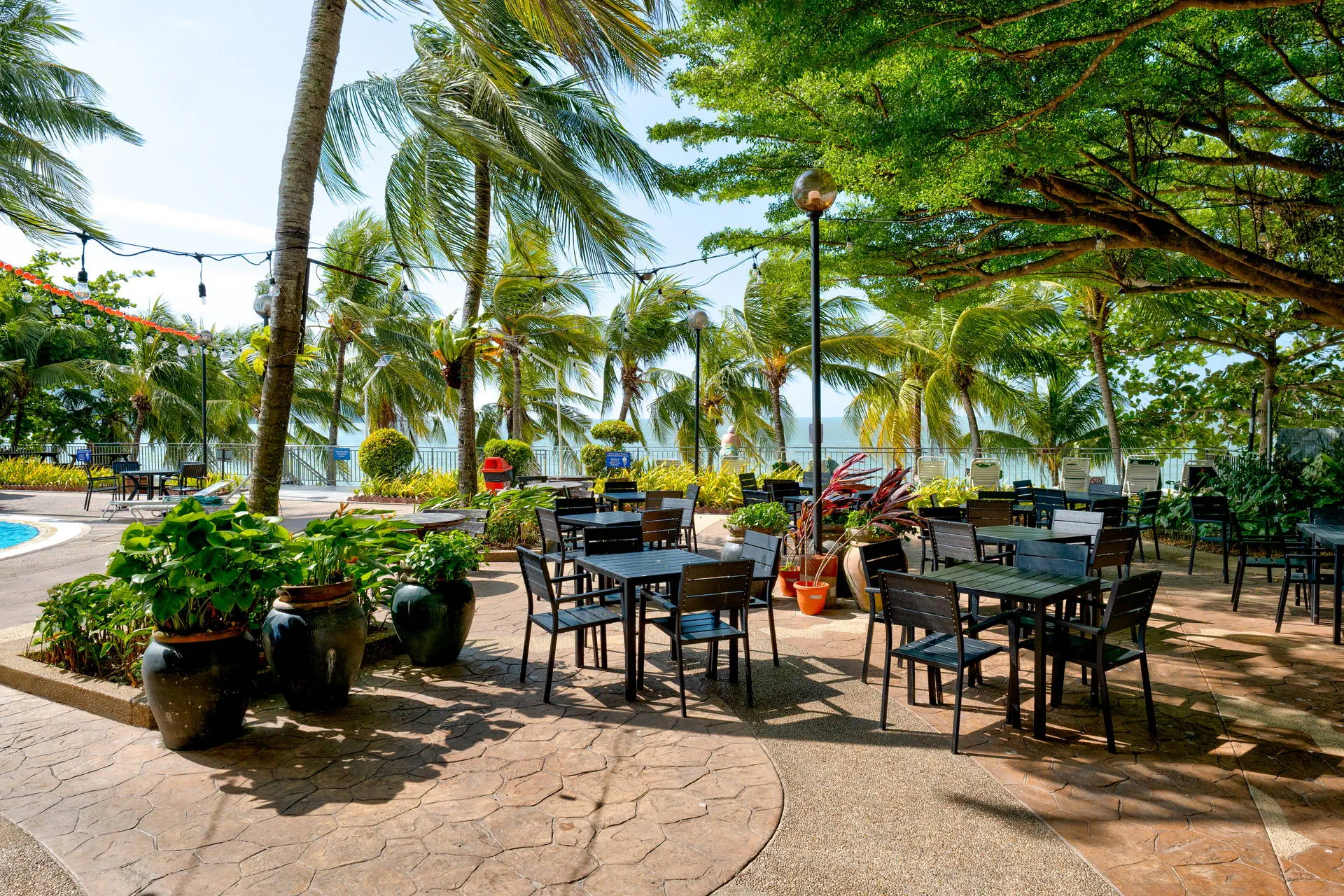 Flamingo by the Beach ( Tanjung Bungah ) - zdjęcie 29