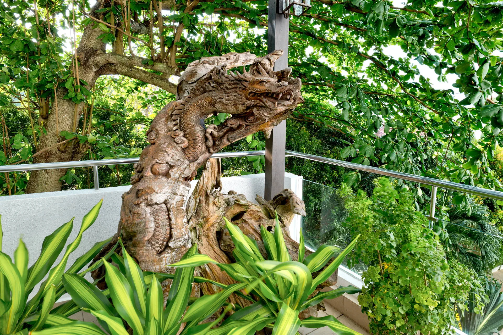 Flamingo by the Beach ( Tanjung Bungah ) - zdjęcie 28