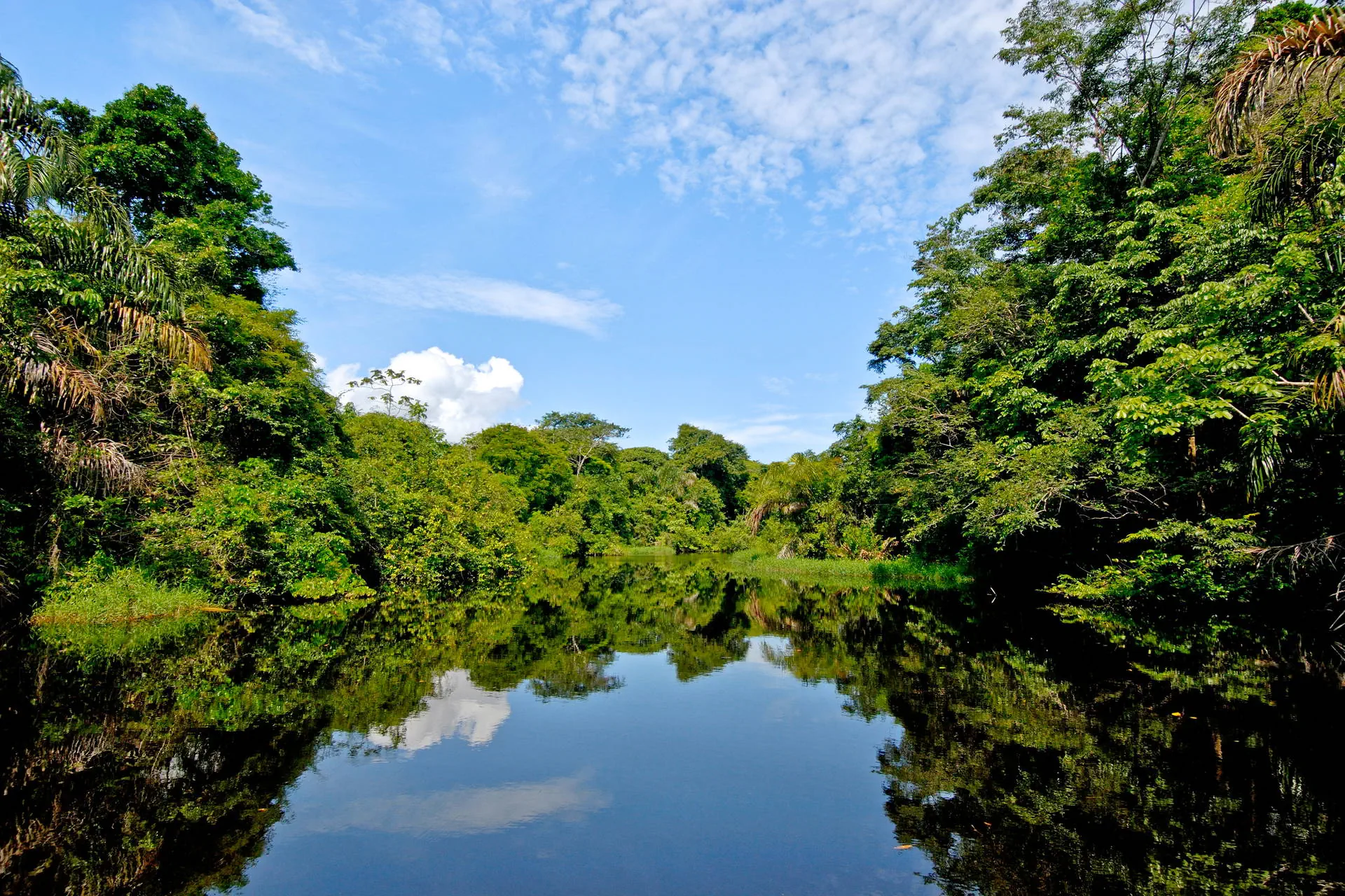 Costa Rica Completa - zdjęcie 53