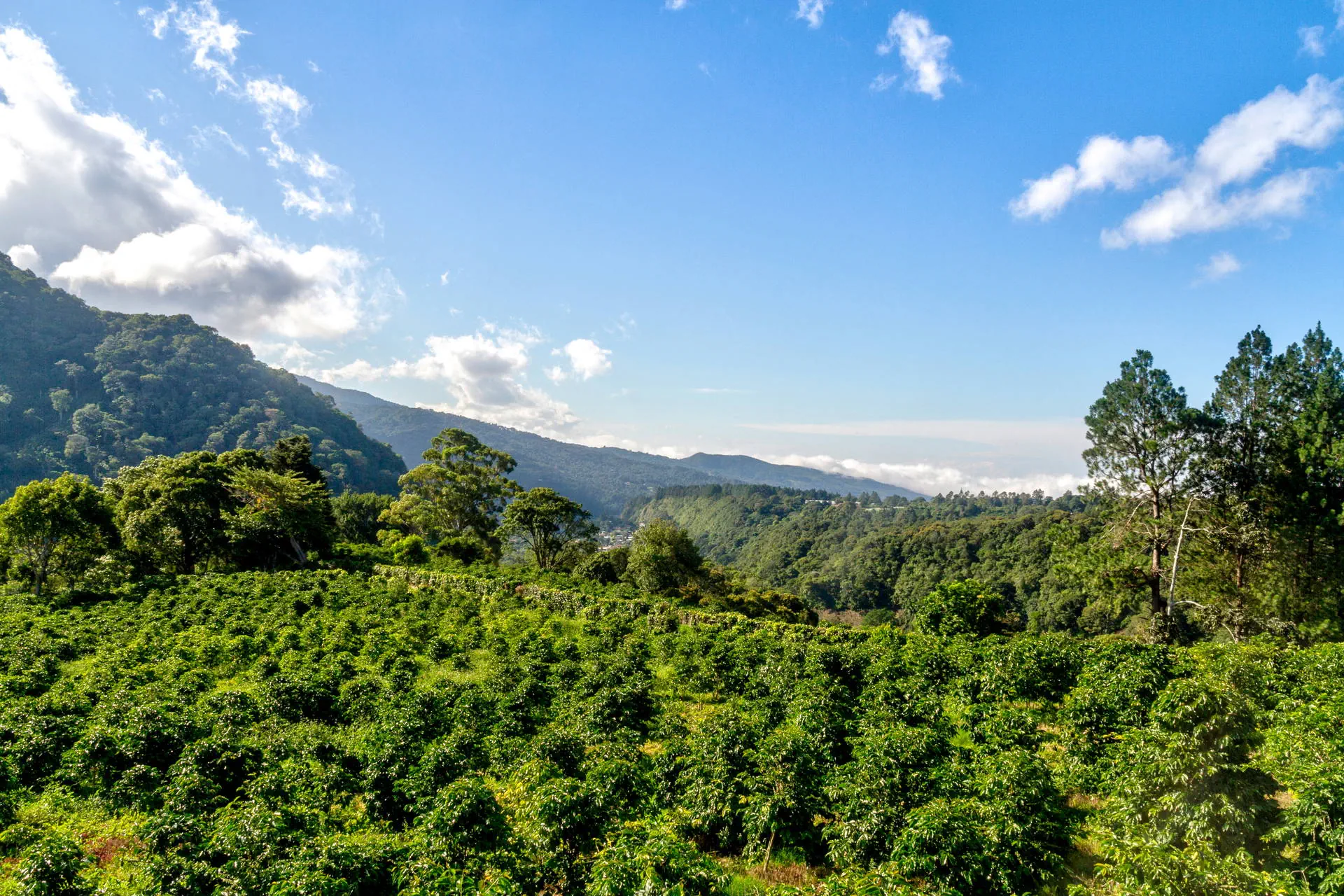 Costa Rica Completa - zdjęcie 36
