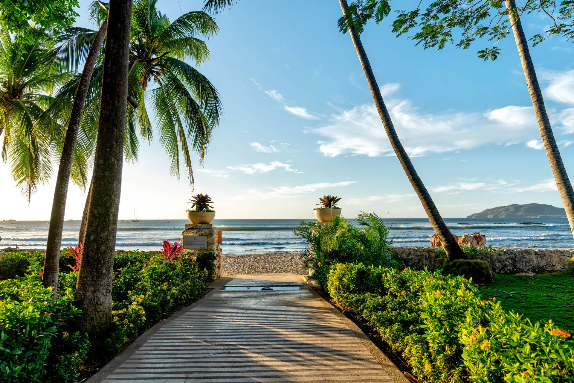 Tamarindo Diria Beach Resort - zdjęcie 12