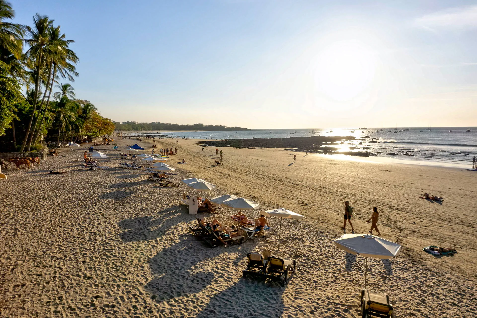 Tamarindo Diria Beach Resort - zdjęcie 15
