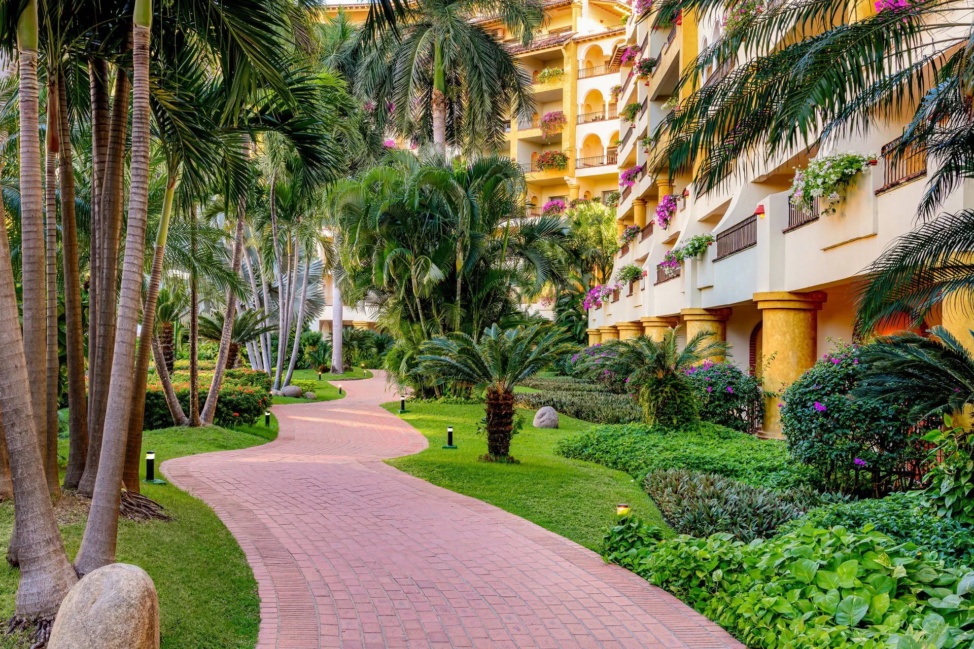 Velas Resort (Puerto Vallarta) - zdjęcie 17