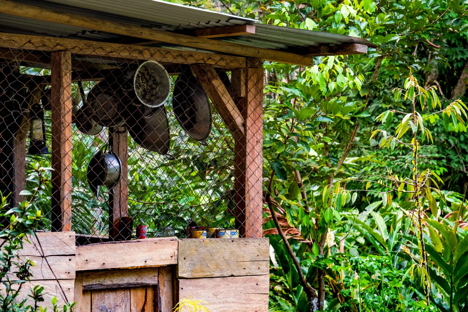 Śladami orangutanów - tropikalna wyprawa Sumatra Penang - zdjęcie 3