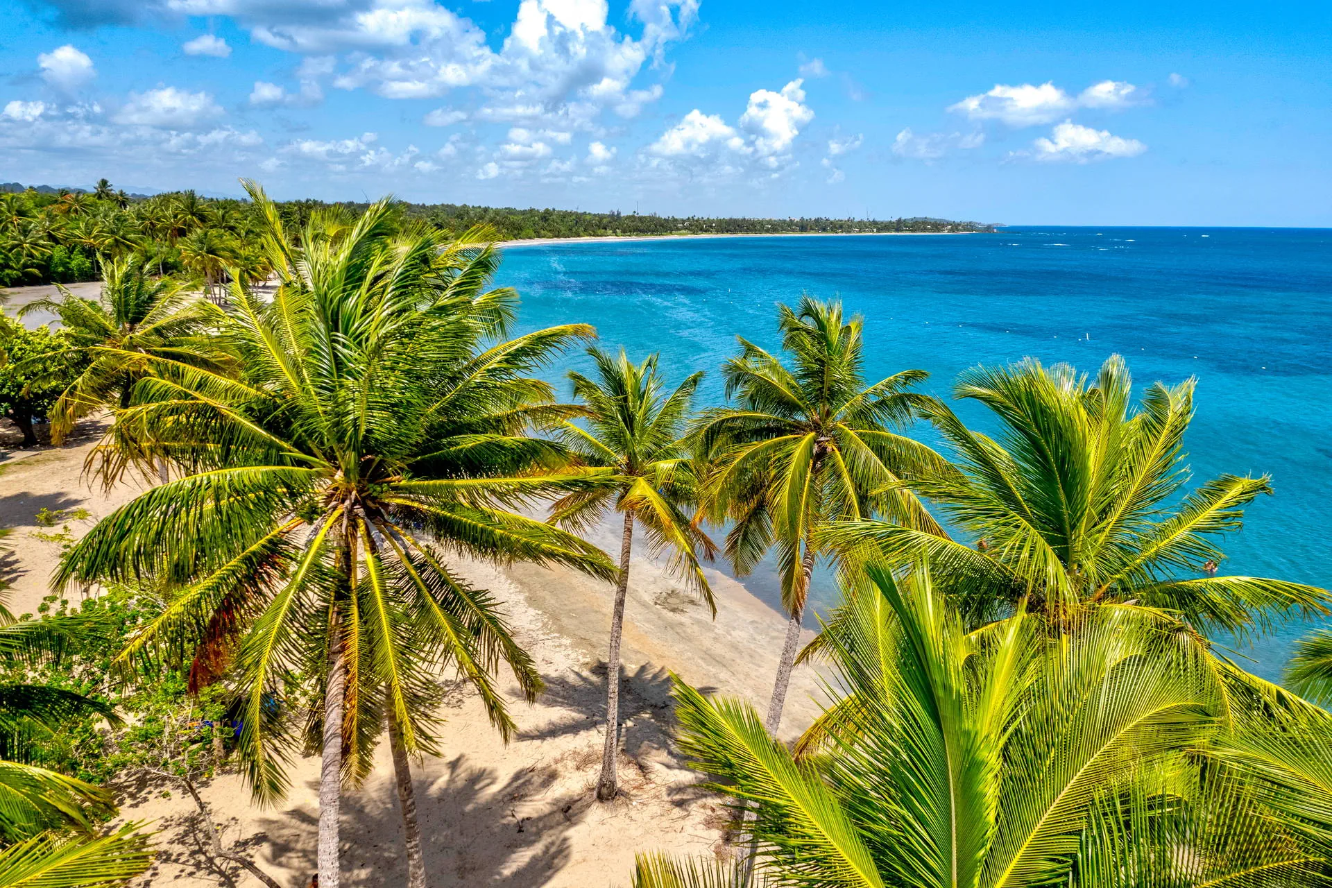 Błyszczące plaże Portoryko - zdjęcie 15