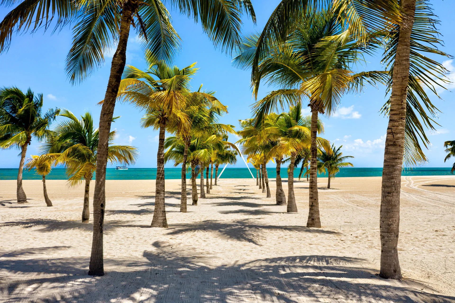 MSC Cruises / Rejs przez Bahamy i Meksyk - zdjęcie 22