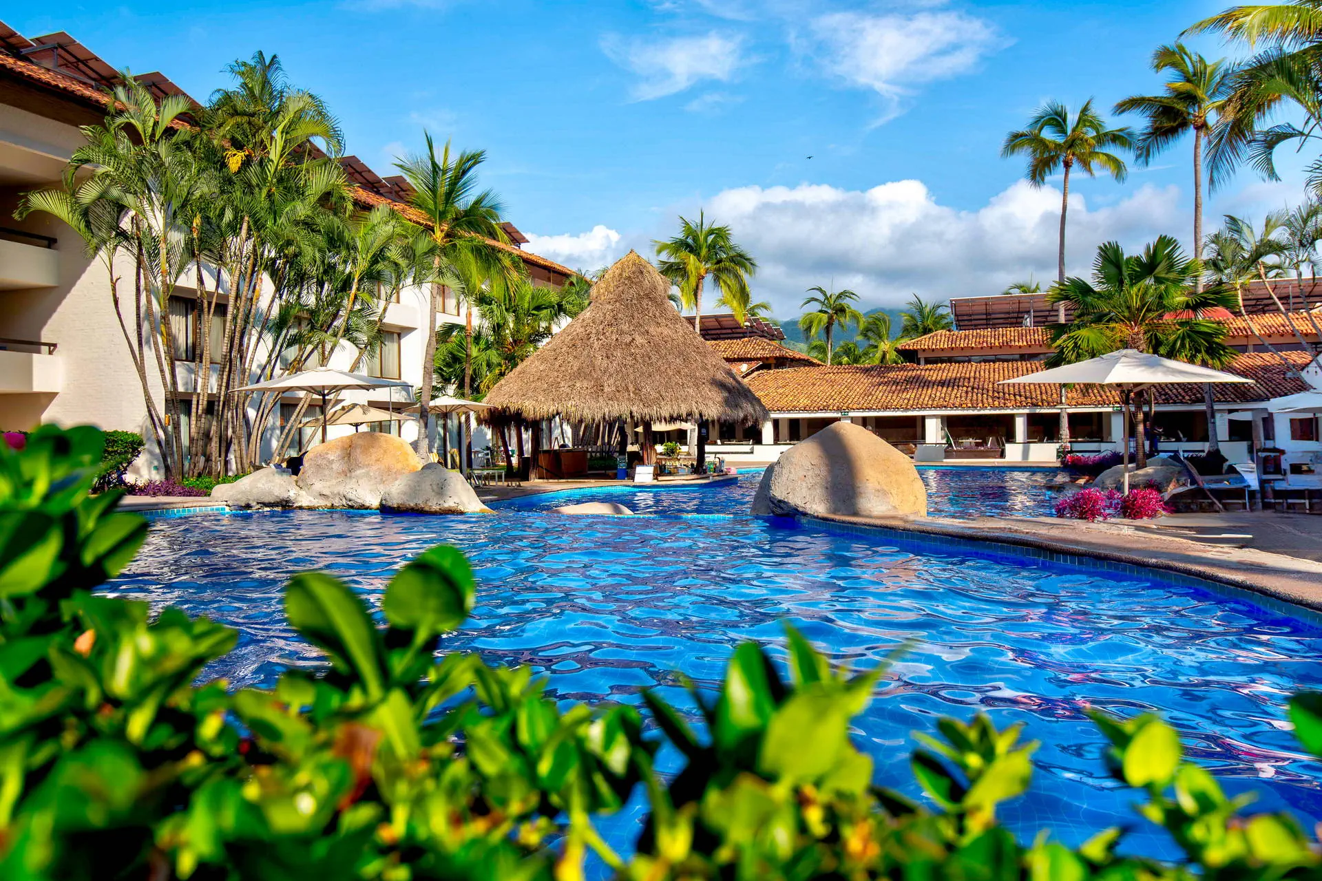 Plaza Pelicanos (Puerto Vallarta) - zdjęcie 3
