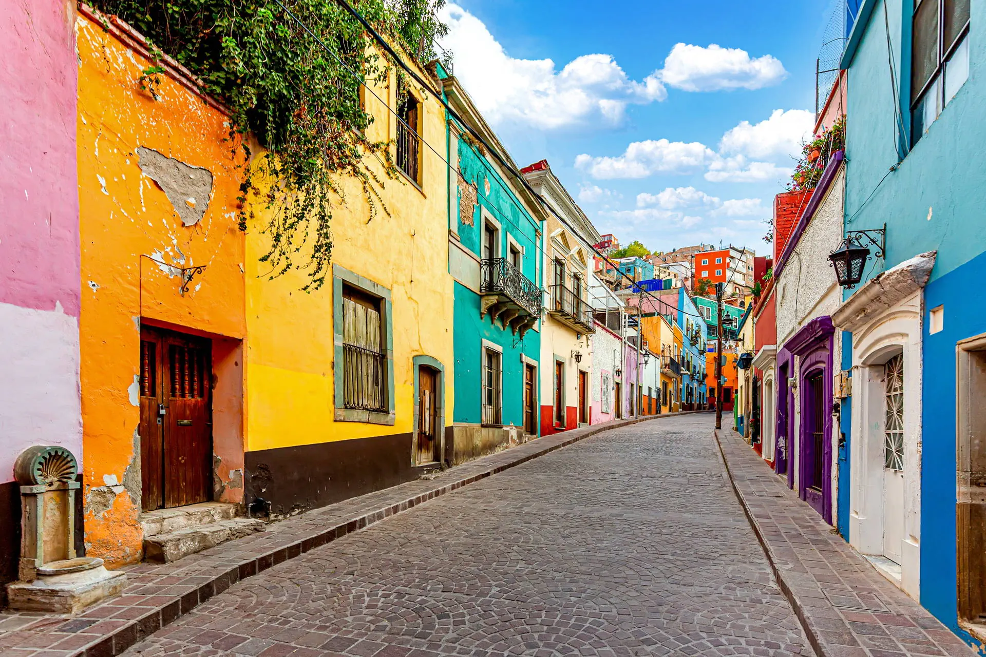 Fiesta Mexicana z nutą północy - zdjęcie 9
