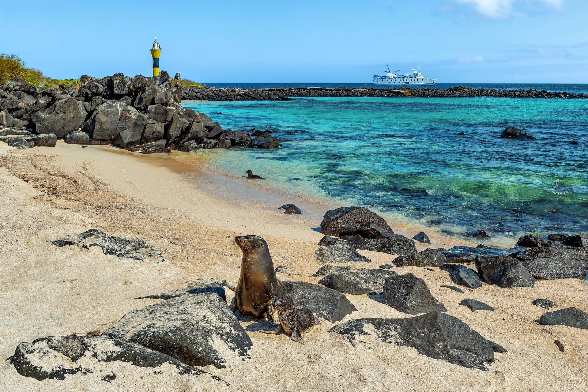 Endemiczny świat - Galapagos - zdjęcie 17