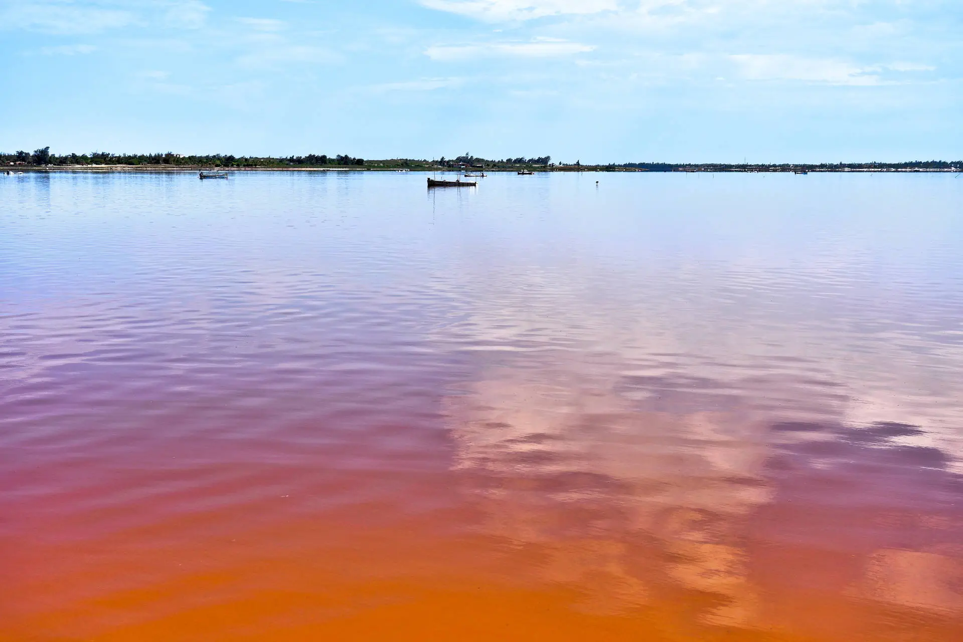 Egzotyka Light - Senegal - zdjęcie 3