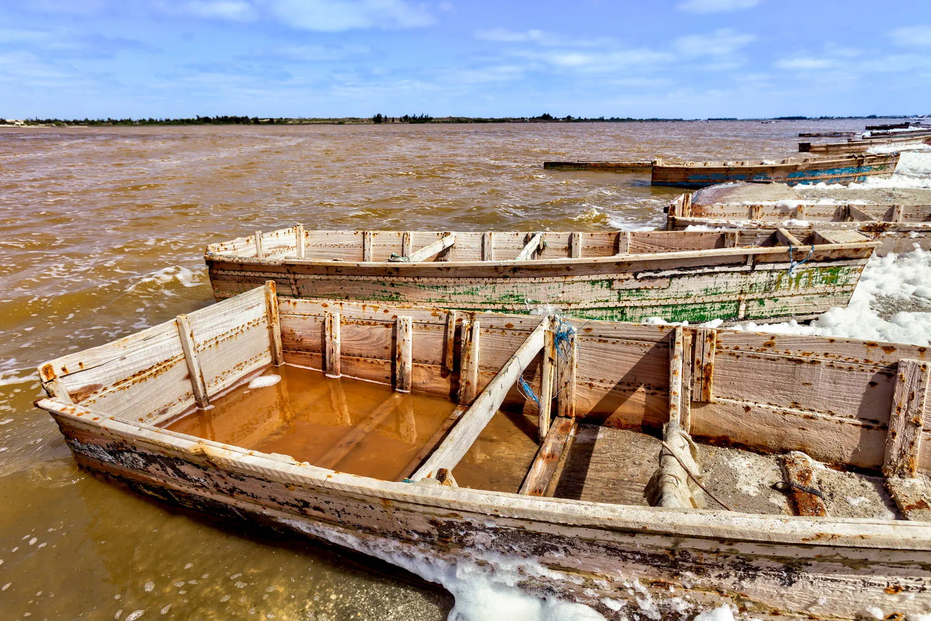 Egzotyka Light - Senegal - zdjęcie 16