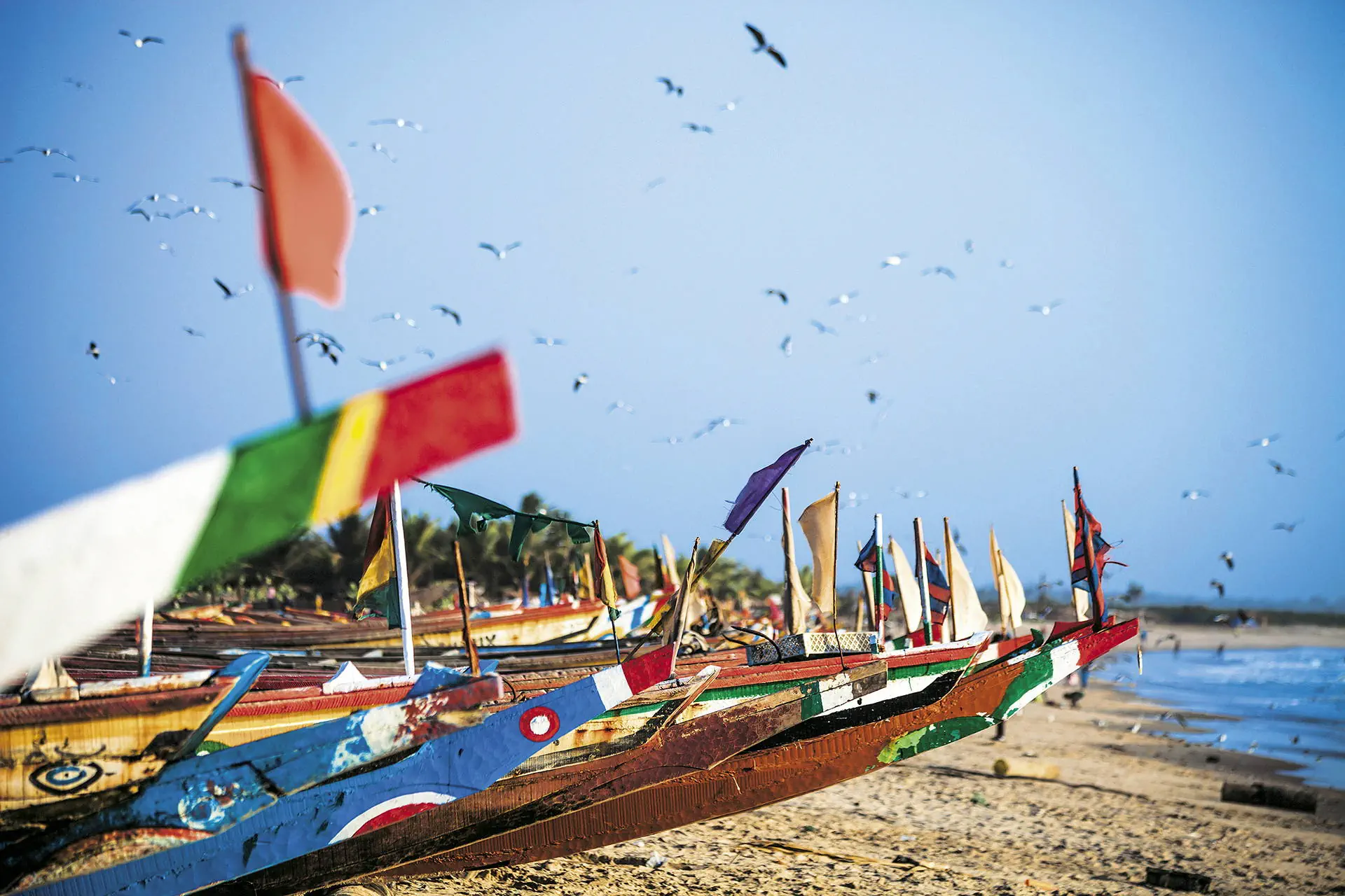 Egzotyka Light - Senegal - zdjęcie 7