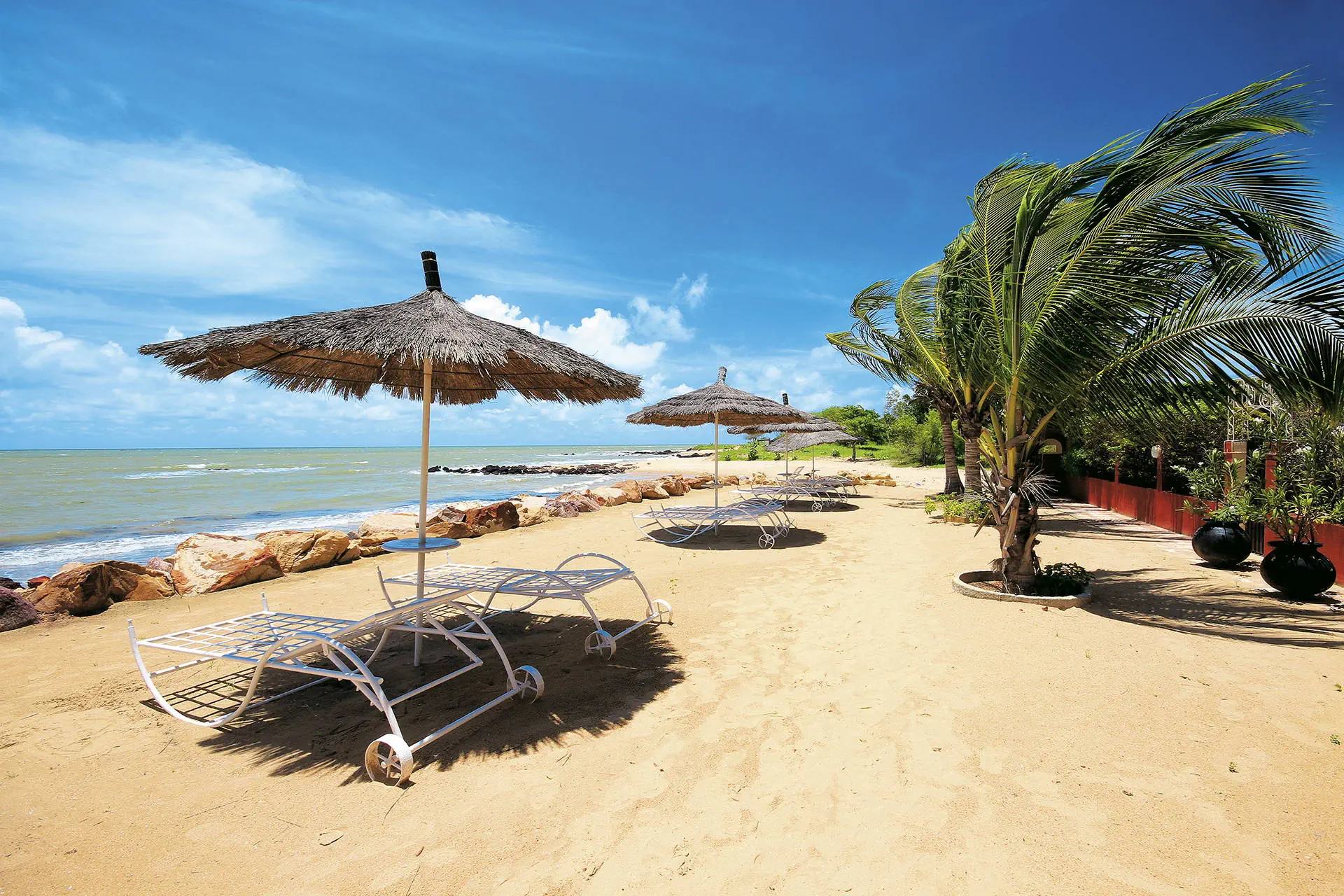 Egzotyka Light - Senegal - zdjęcie 27