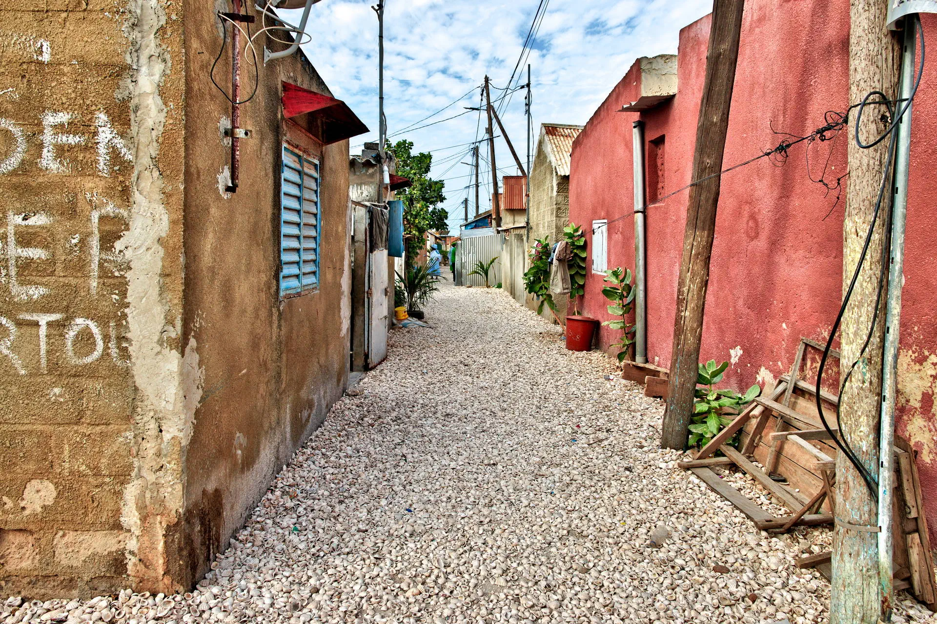Egzotyka Light - Senegal - zdjęcie 29