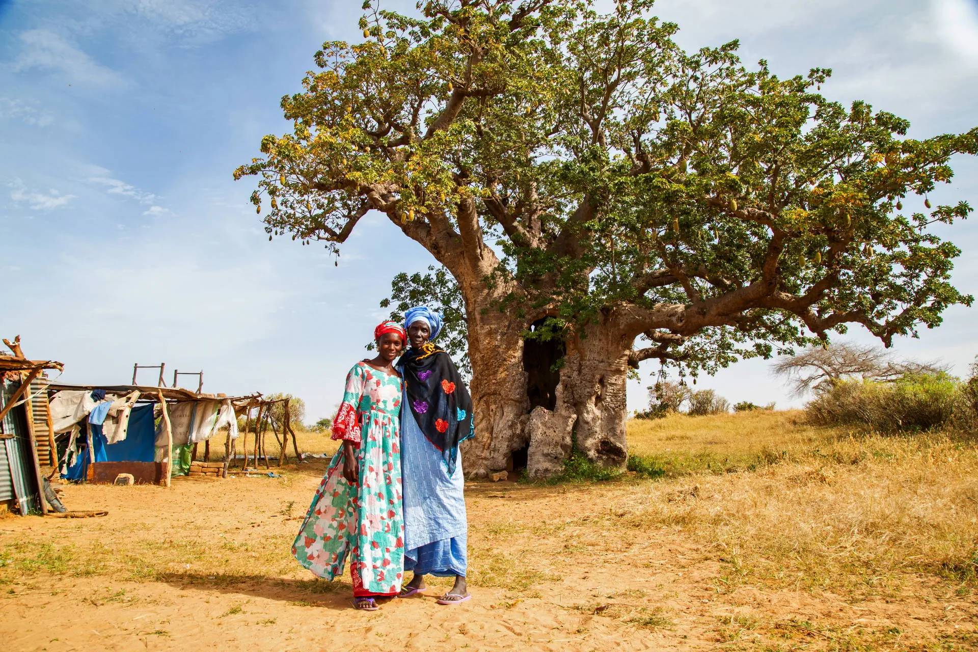 Egzotyka Light - Senegal - zdjęcie 30