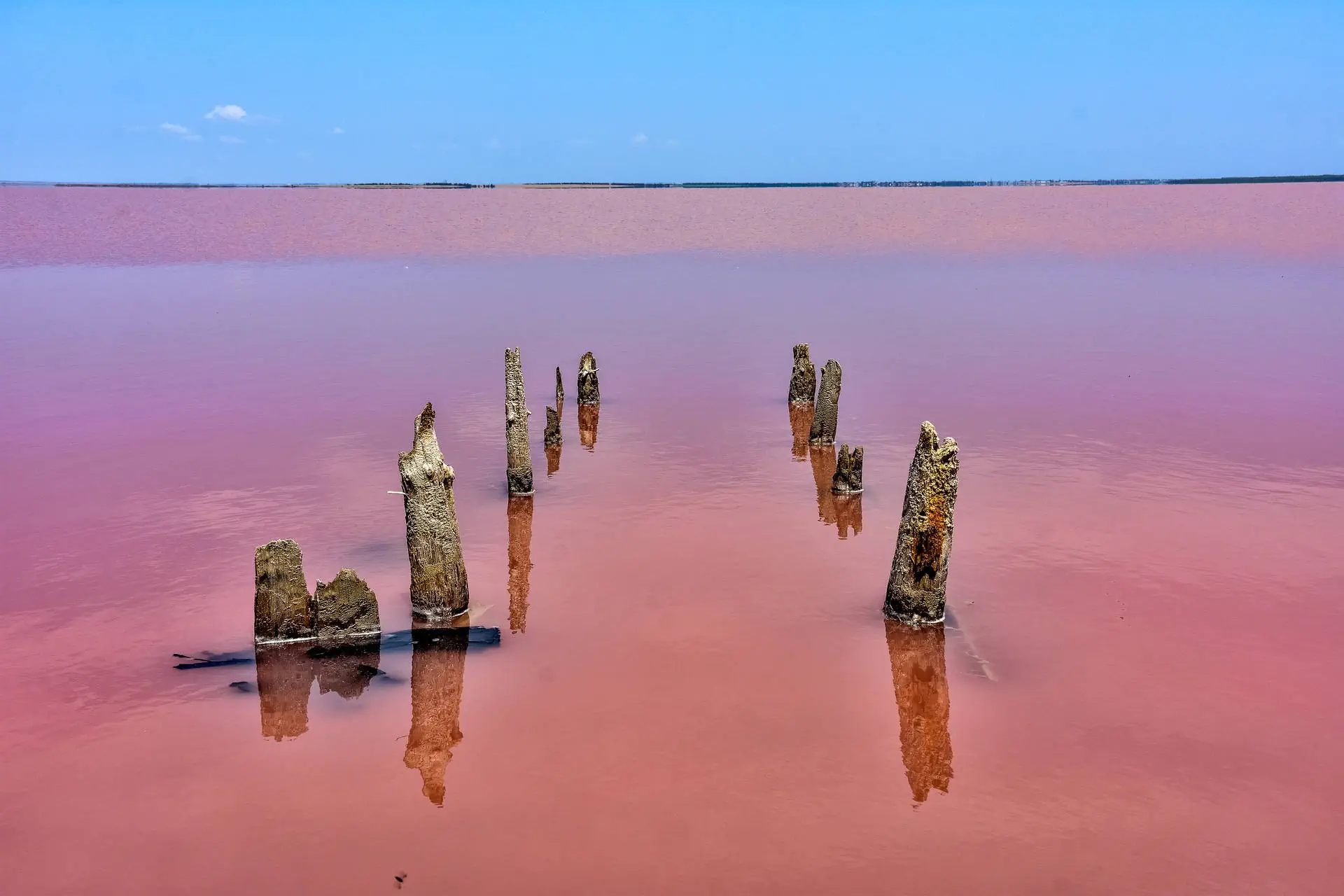 Egzotyka Light - Senegal - zdjęcie 18