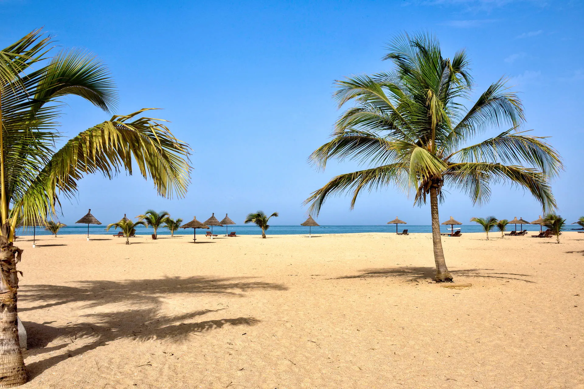 Egzotyka Light - Senegal - zdjęcie 31