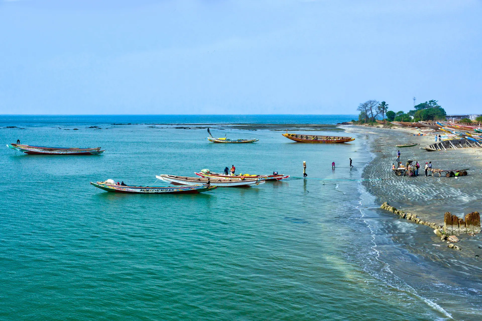 Egzotyka Light - Senegal - zdjęcie 9