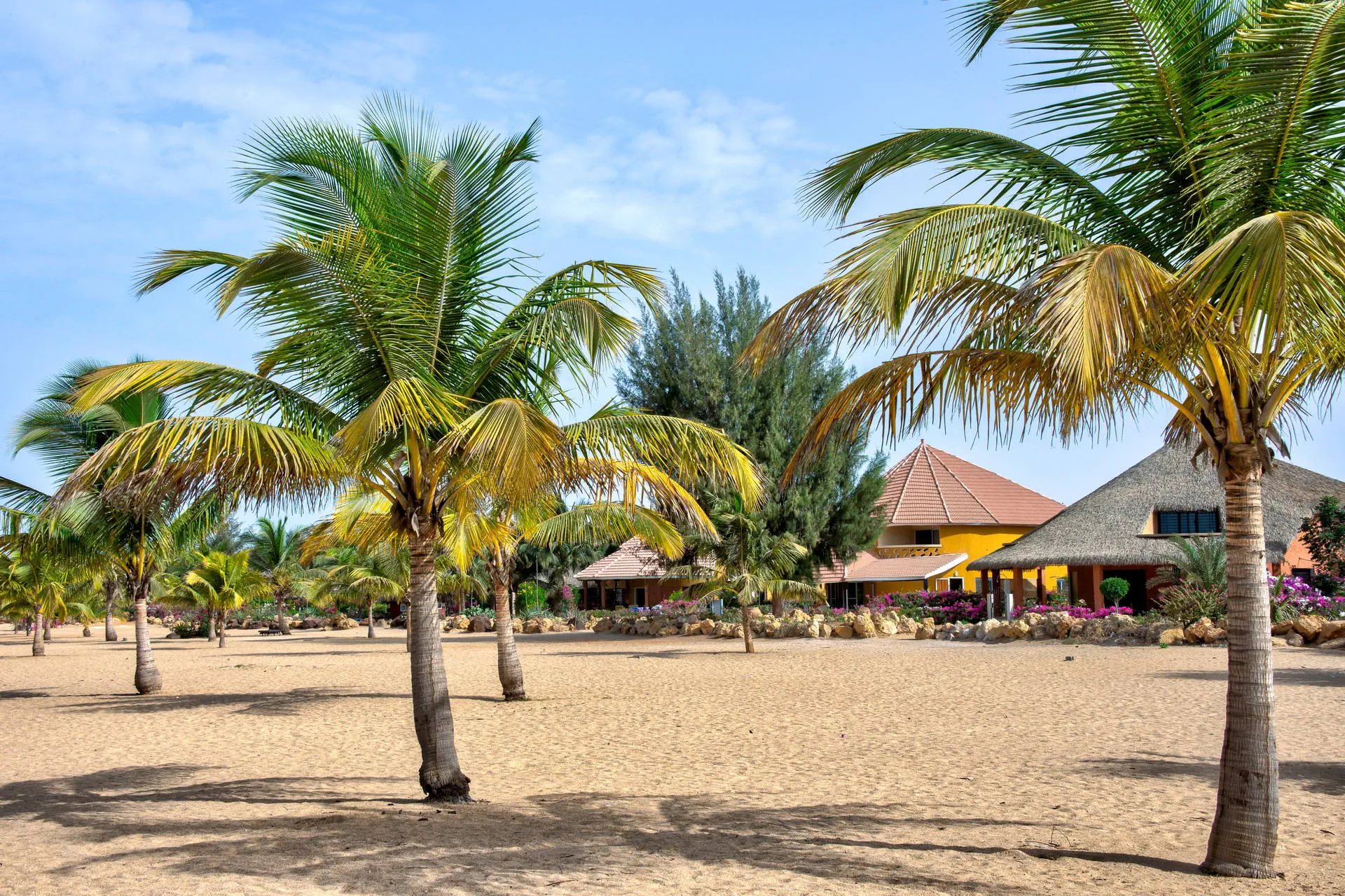 Egzotyka Light - Senegal - zdjęcie 26