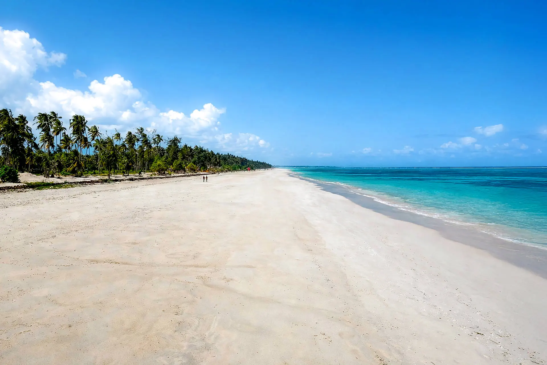 Kappa Senses (Zanzibar) - zdjęcie 4