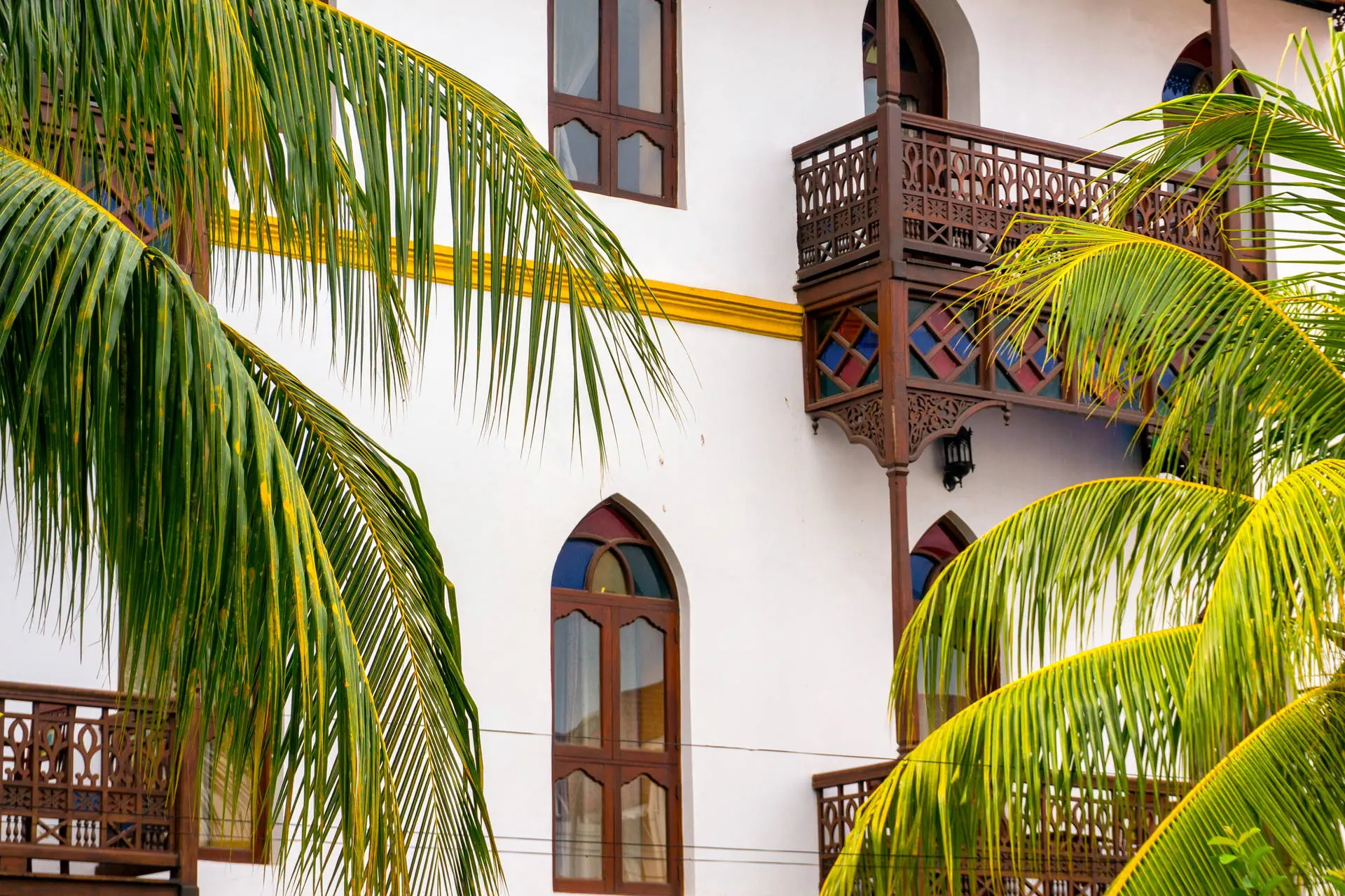 Kappa Senses (Zanzibar) - zdjęcie 12
