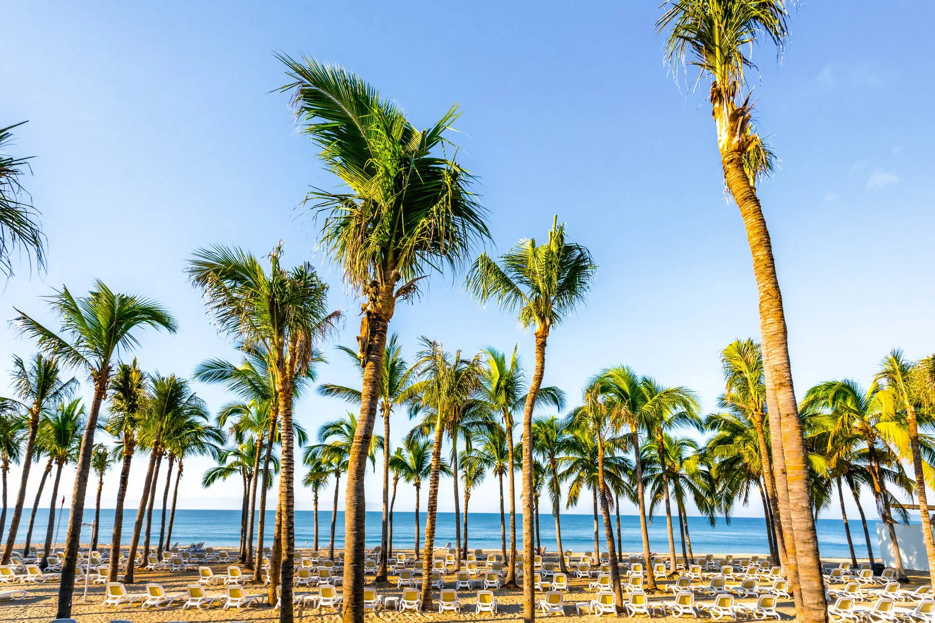 Riu Vallarta - zdjęcie 9
