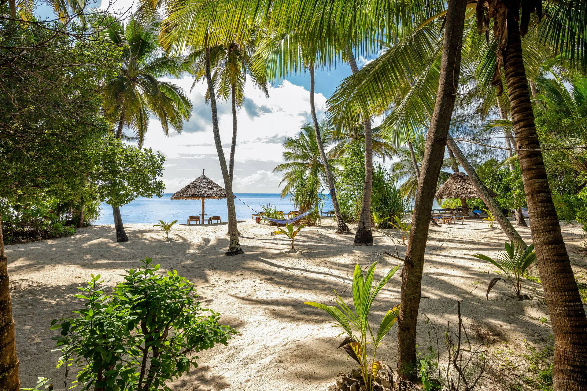 Pongwe Beach - zdjęcie 14