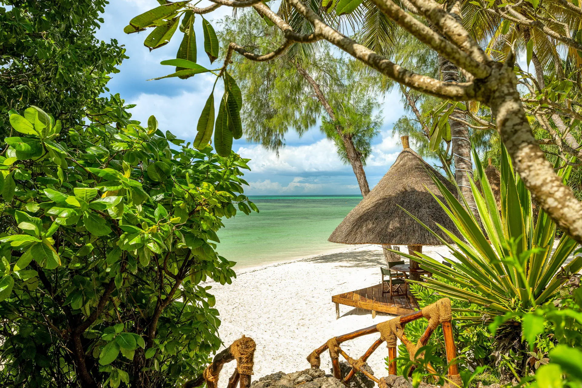 Pongwe Beach - zdjęcie 25
