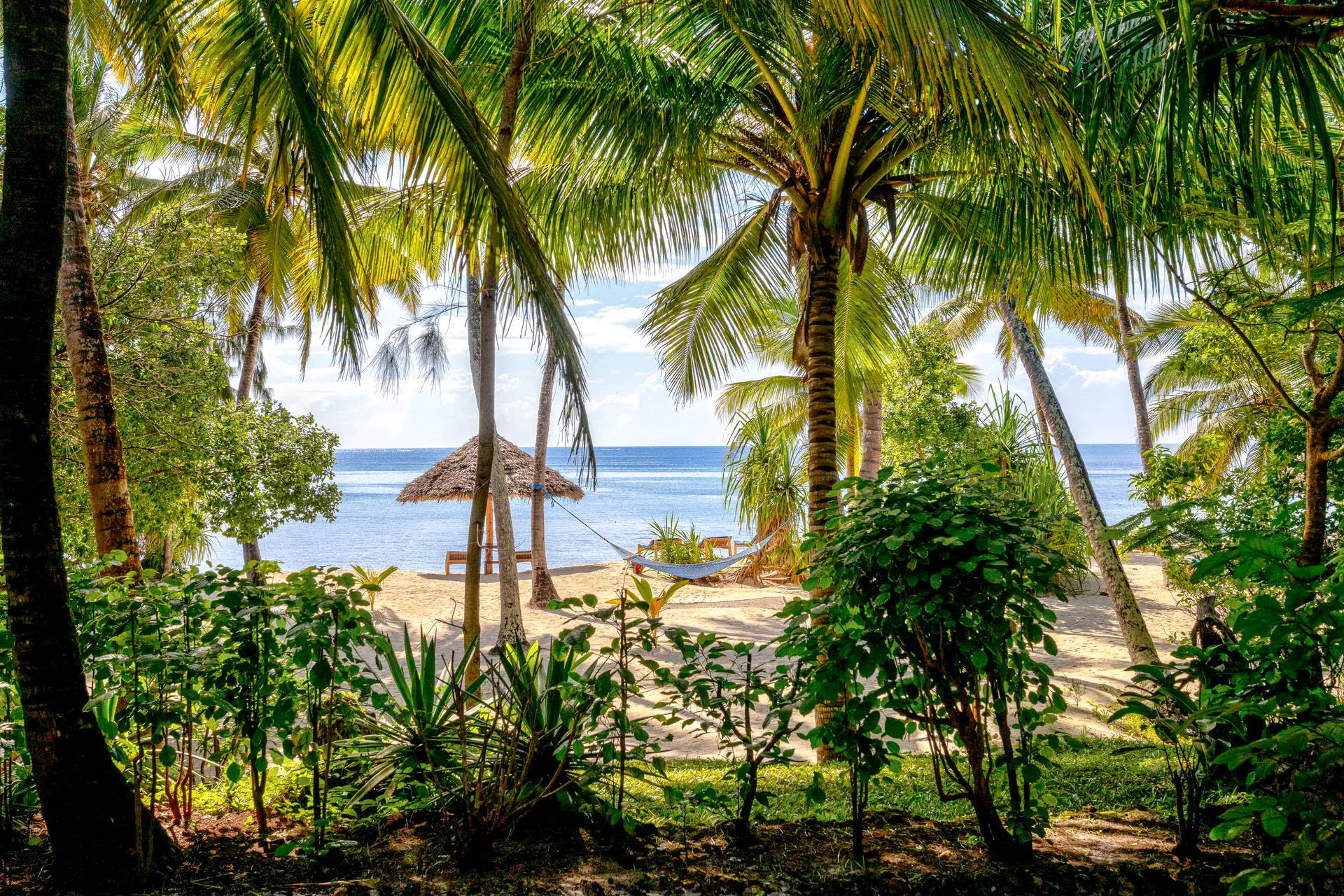 Pongwe Beach - zdjęcie 26