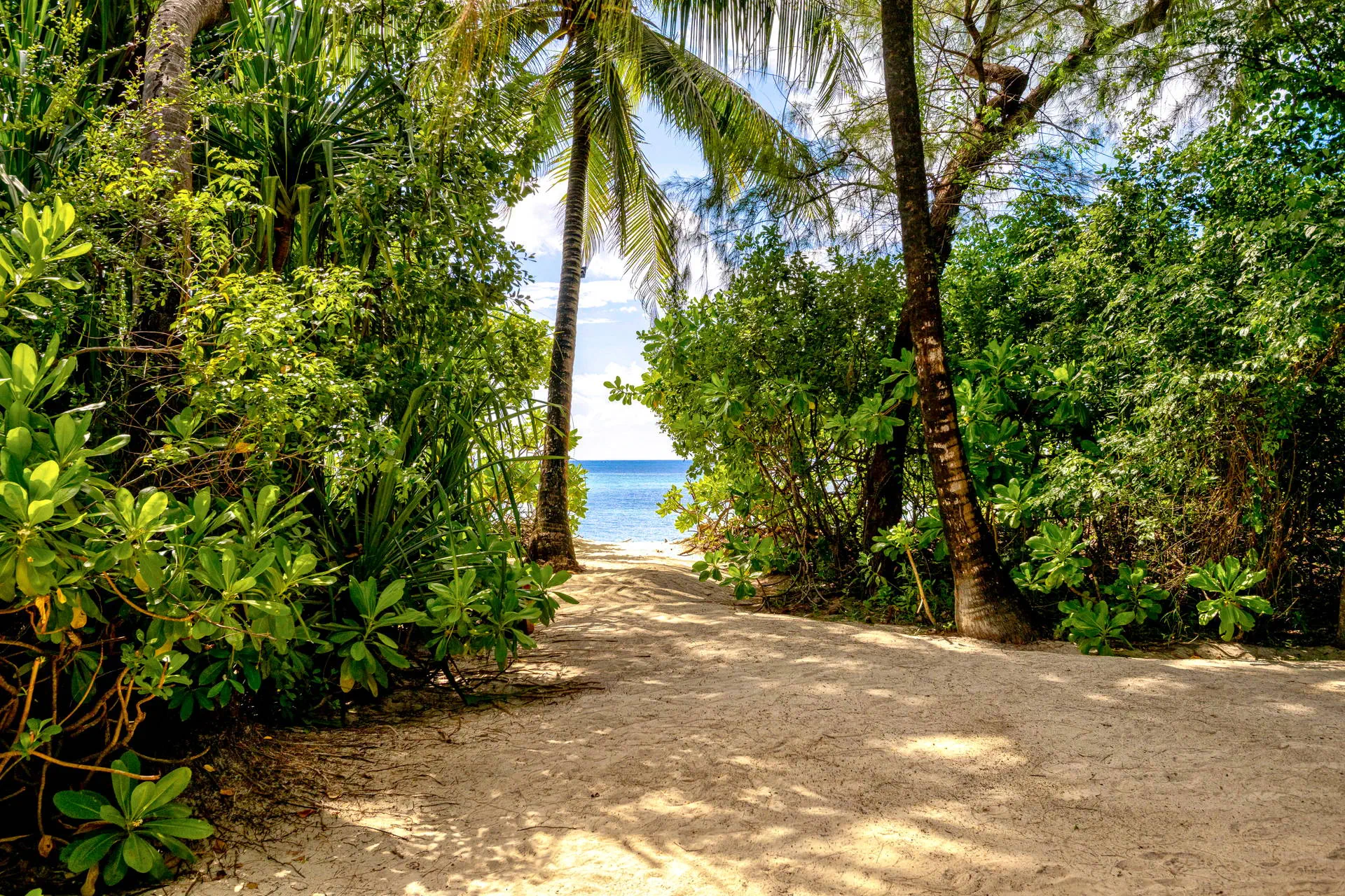 Pongwe Beach - zdjęcie 30