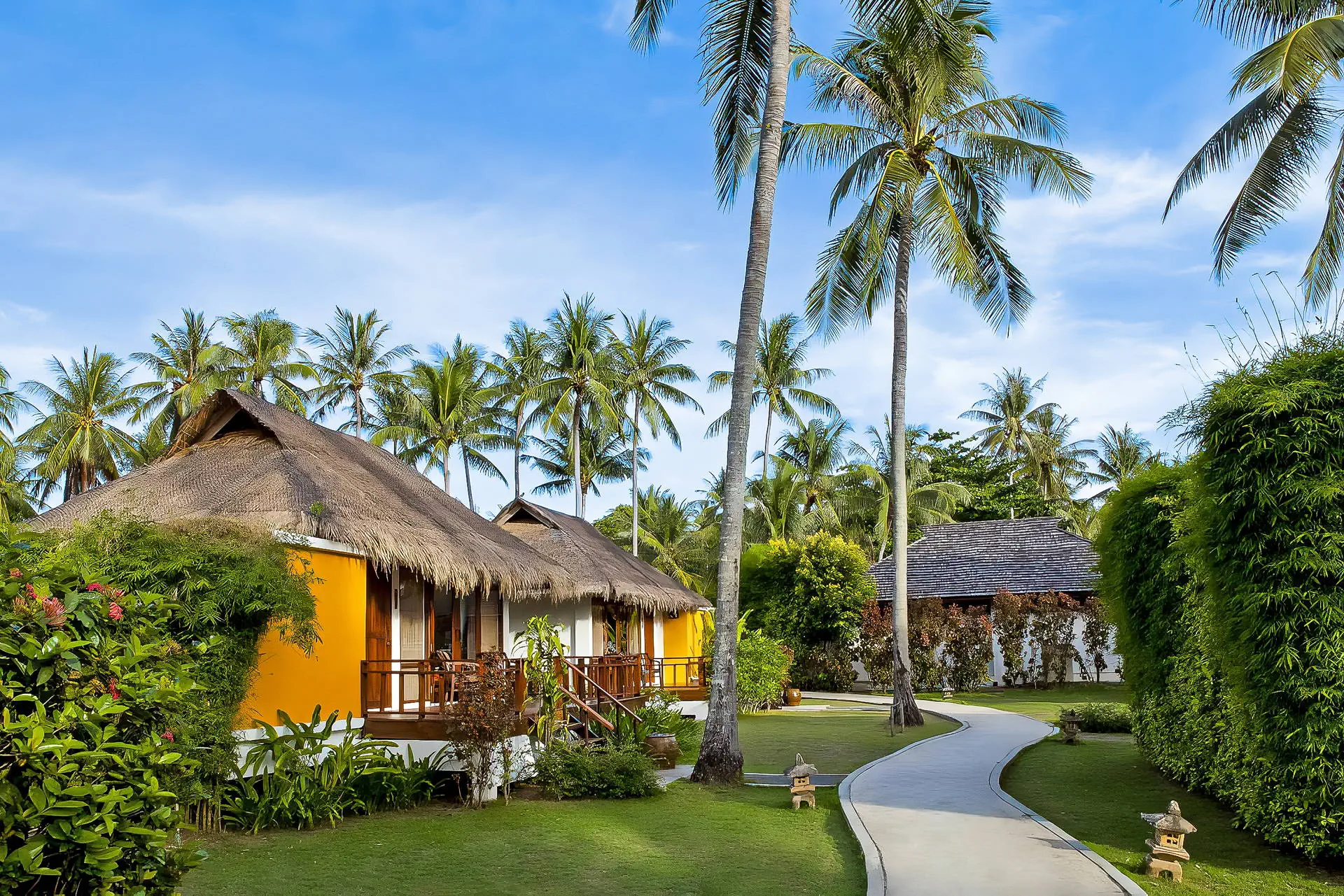 Elixir Koh Yao Yai - zdjęcie 21